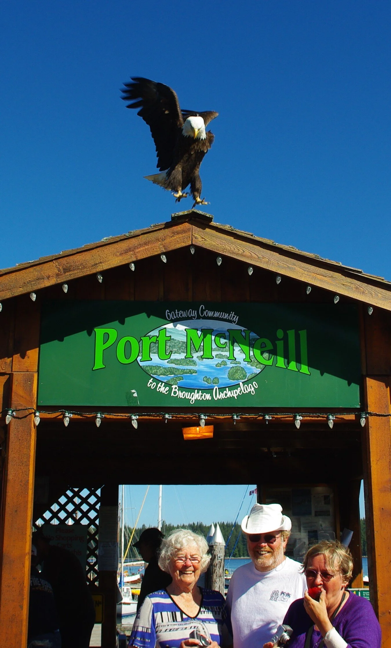  THIS INCREDIBLE PICTURE IS REAL! THE EAGLES COME CLOSE WHEN FISH ARE BEING CLEANED, AND I STEPPED OUT TO TAKE A PICTURE OF MY FAMILY AND WONDROUSLY CAUGHT THIS MOMENT! NO ONE WAS HURT! 