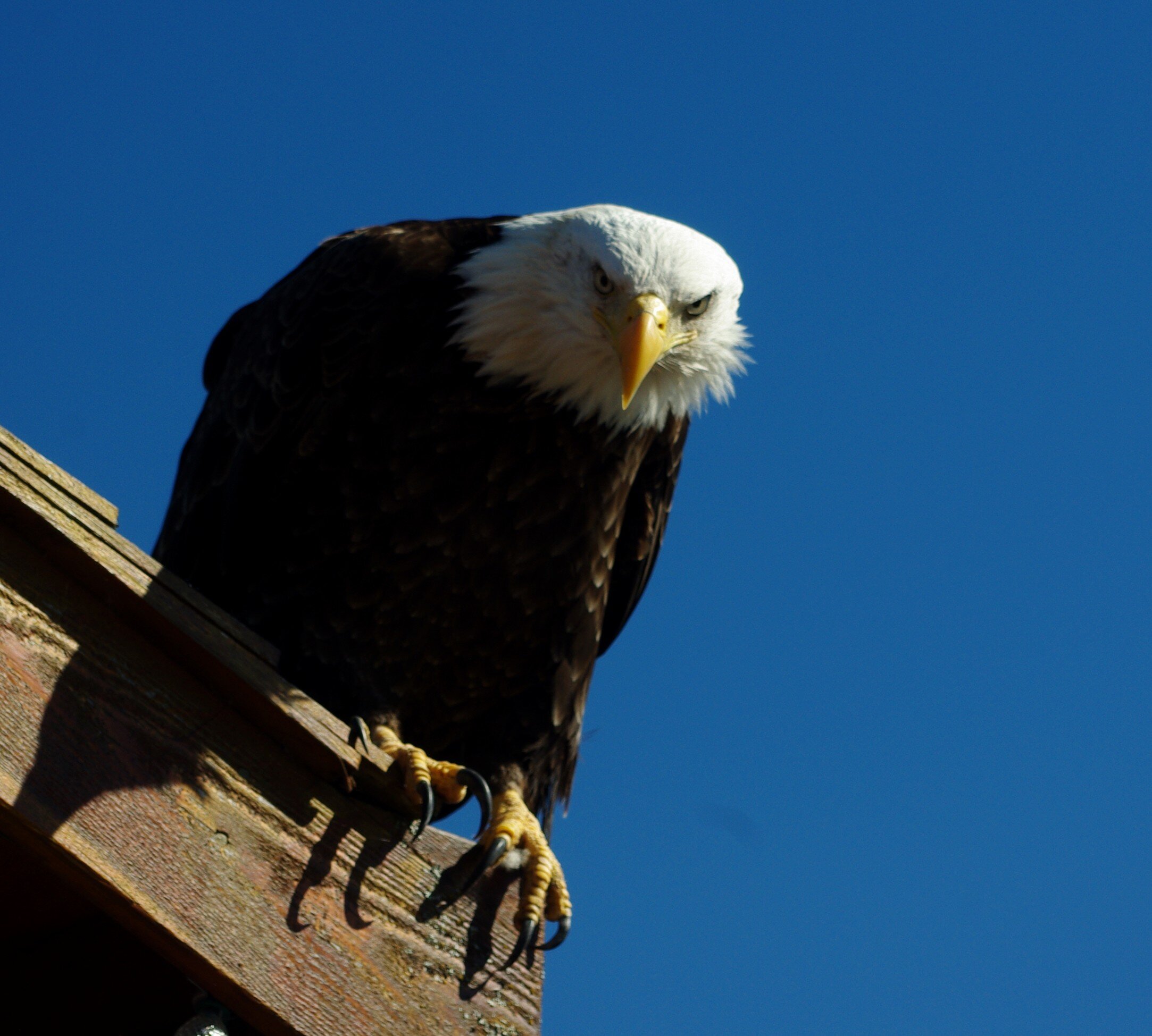  WHAT’S GOING ON DOWN THERE?   