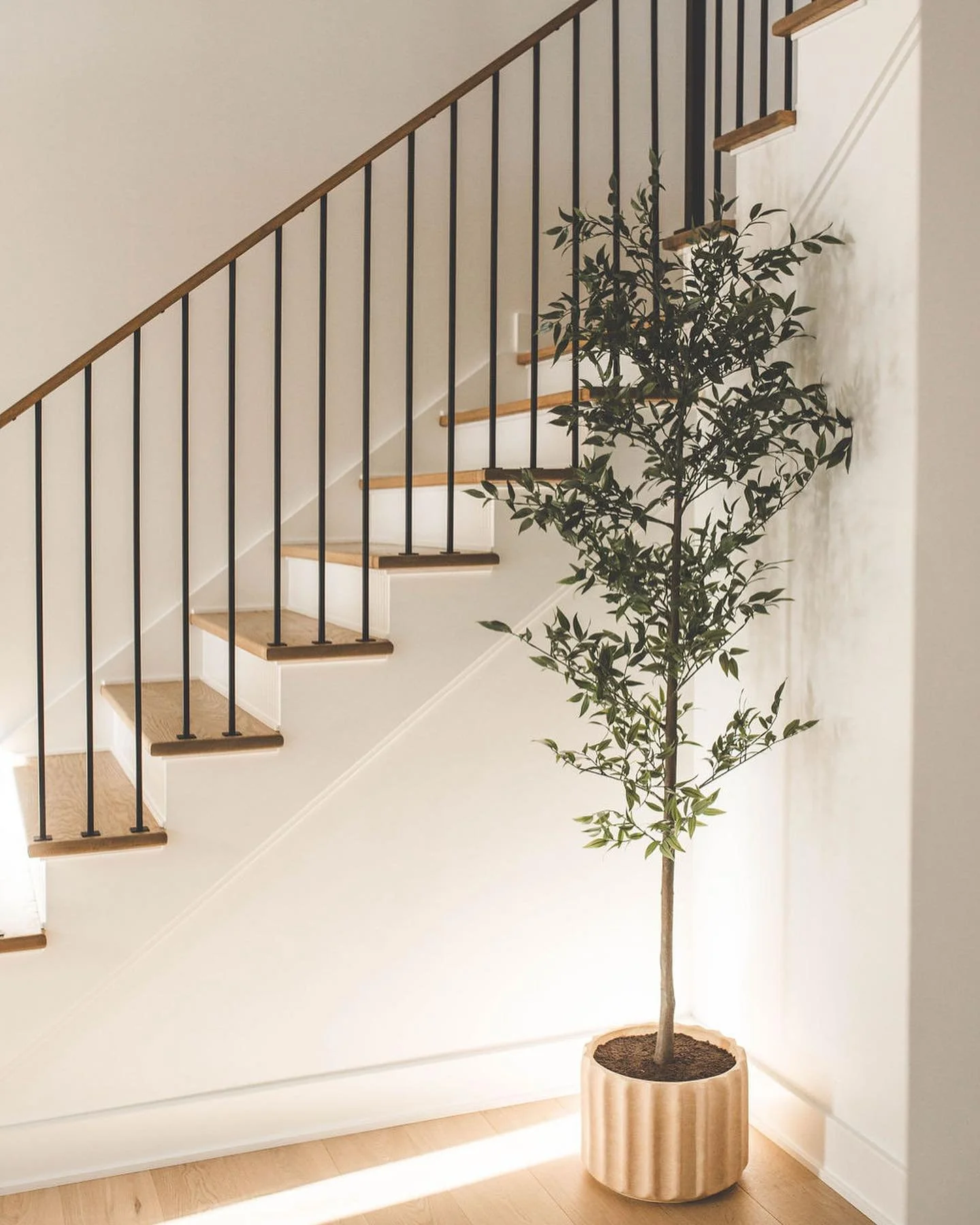 Foyer at project Wallace // #zhd 
&bull;
&bull;
Build - @grindstonerenos 
Photography - @xandraphotography 
Styling - @urbantreasuresshop 
Interiors - @zoehenrydesigns