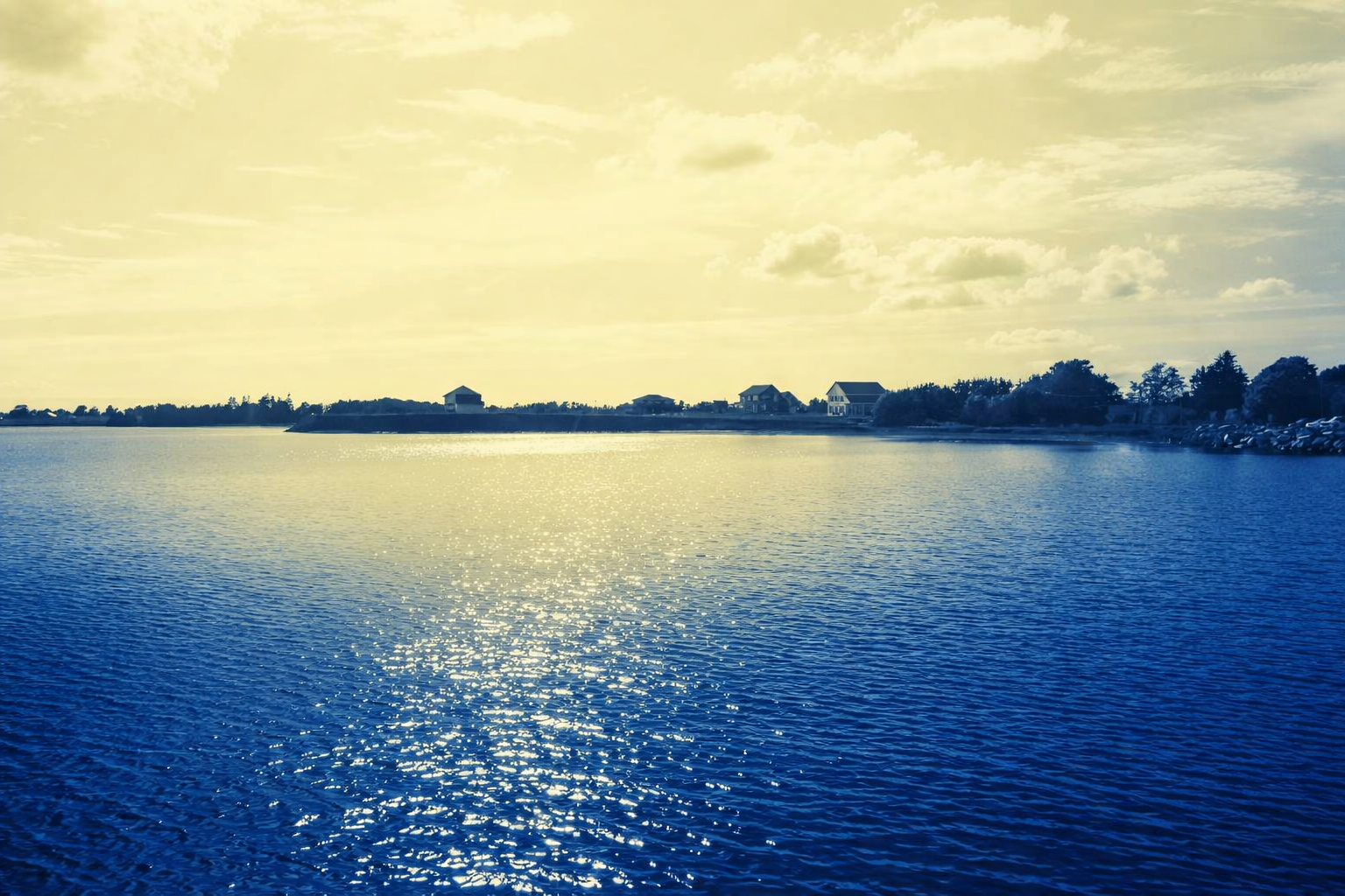 Edited Coastal Photo.png