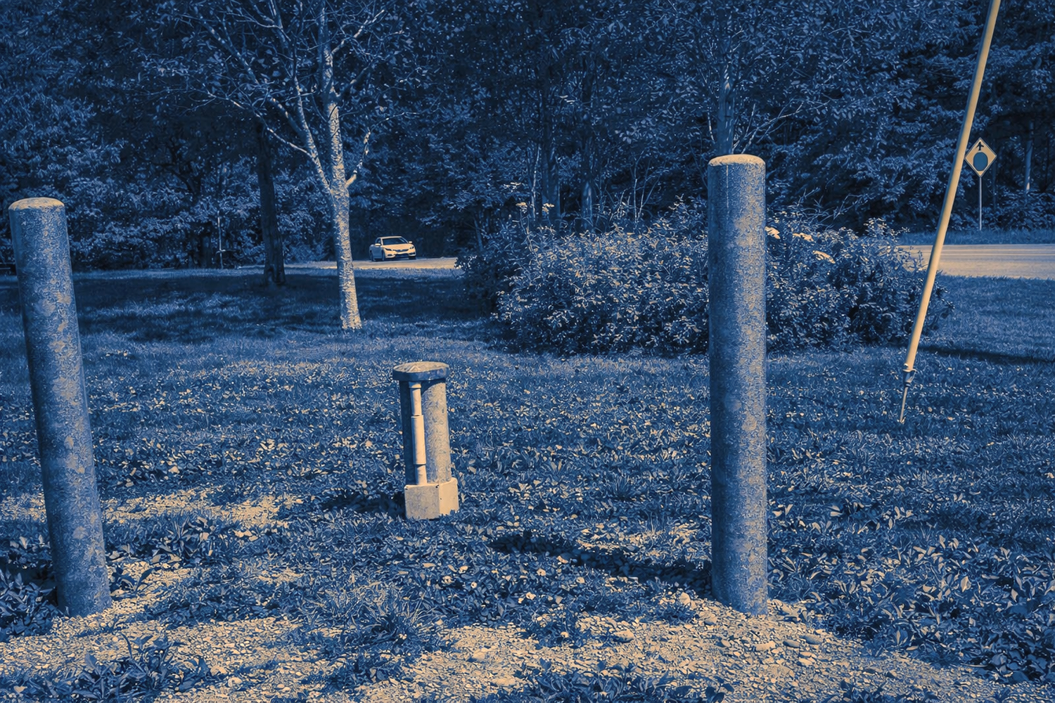 Edited+W&S.webp