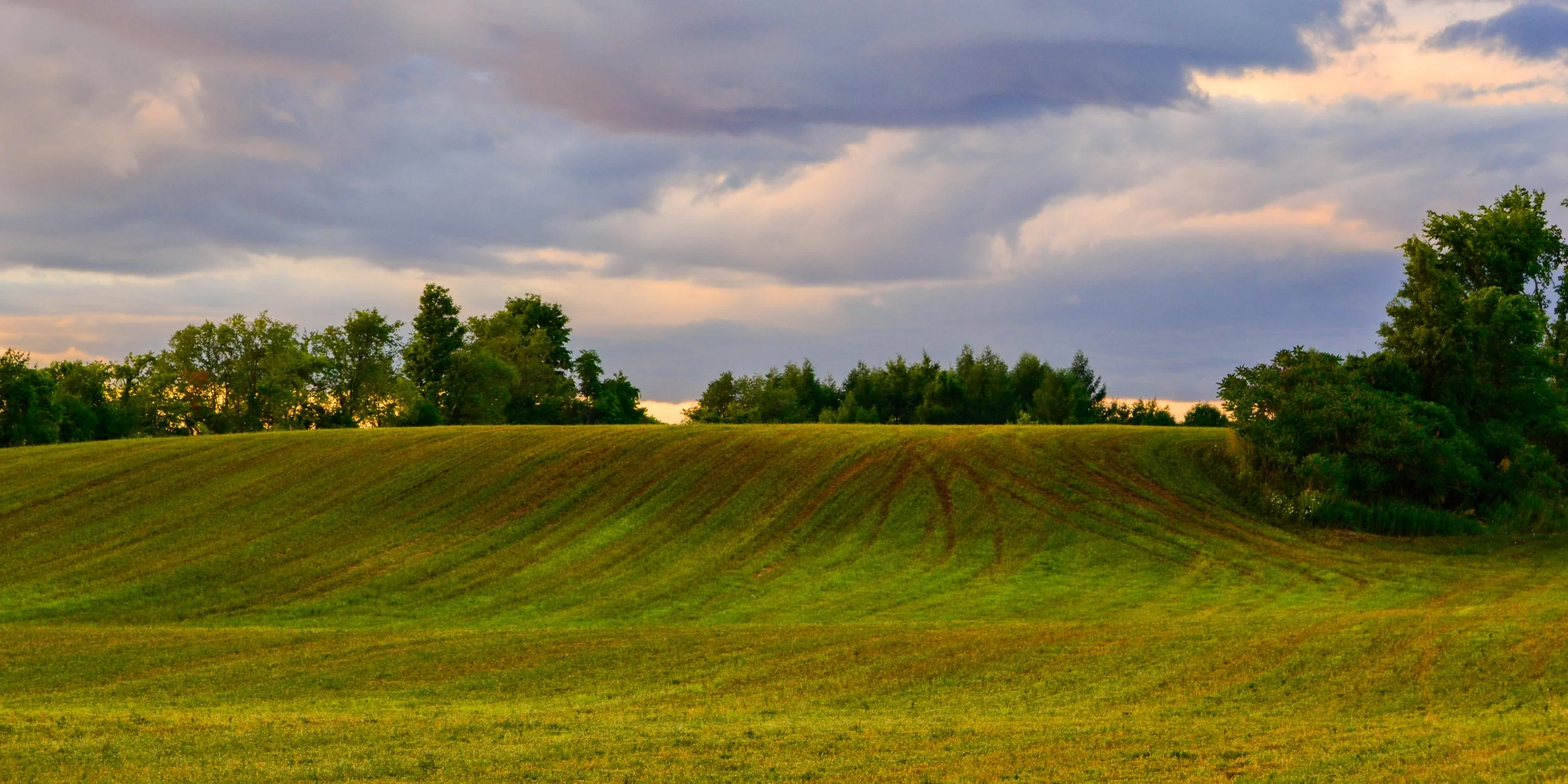 Rolling Green.JPG