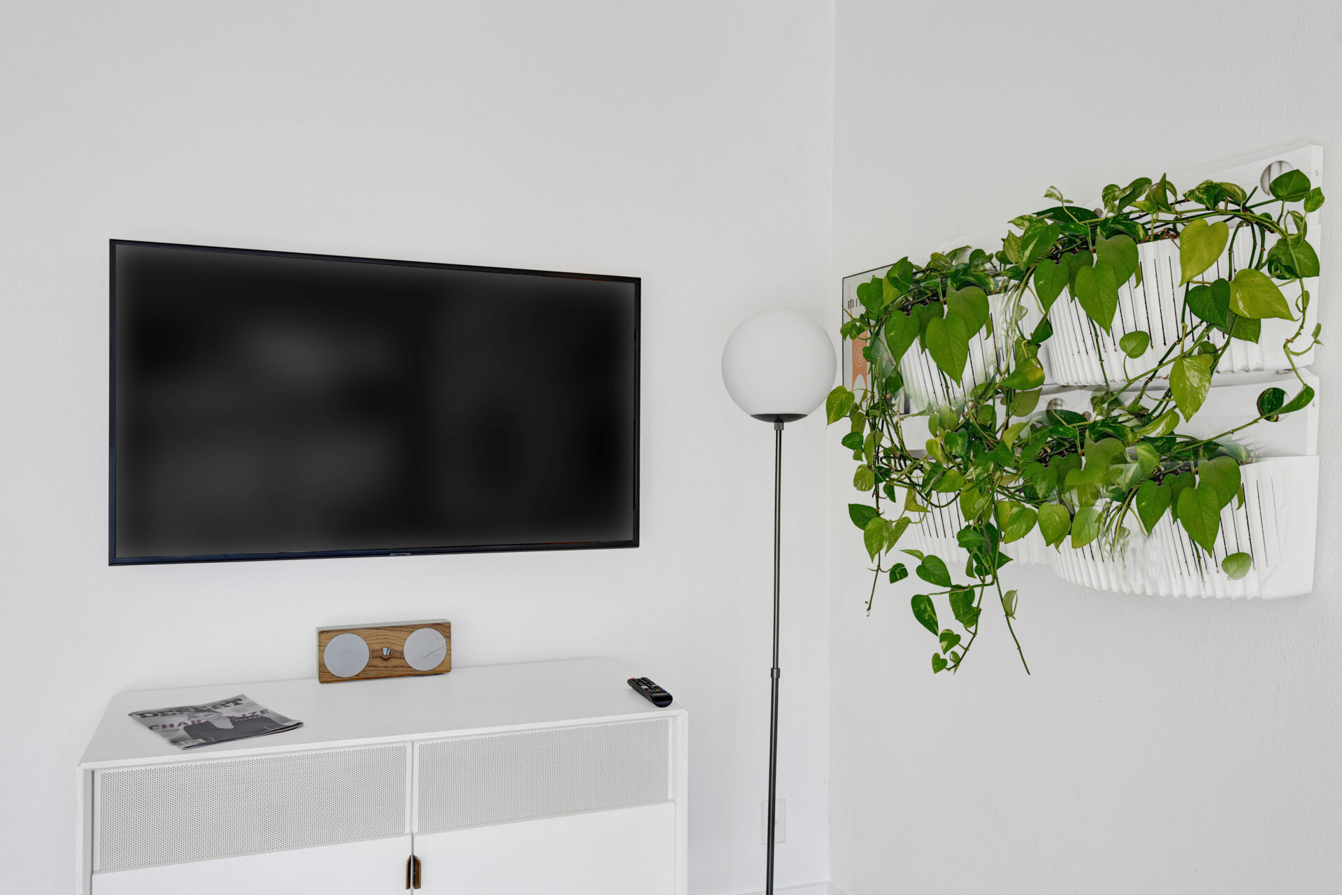 TV AND WALL PLANT-2.jpg