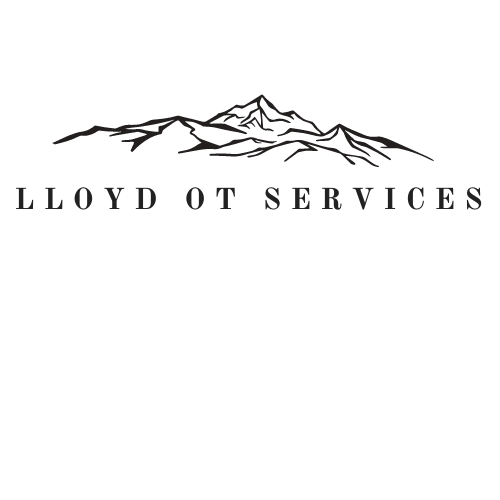 Lloyd OT Services