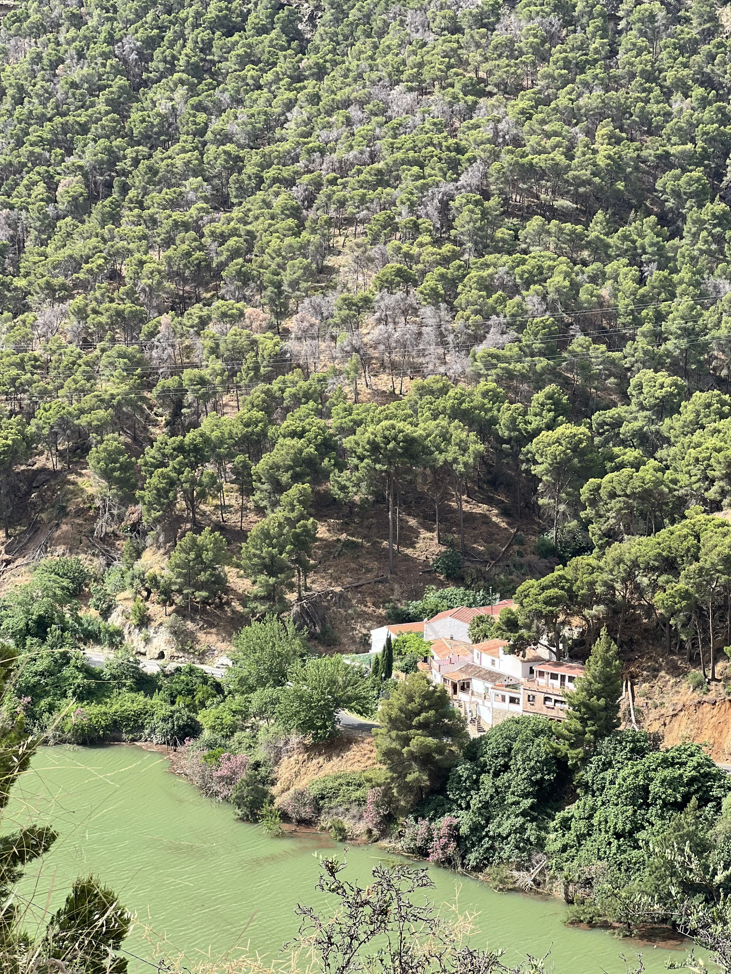 coolinary_blog_malaga.jpg121.jpeg