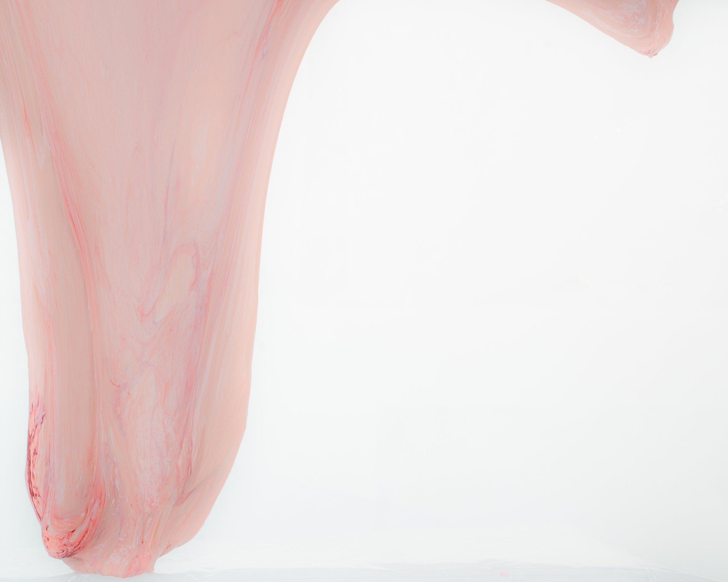 Soft Tissue #9 (2022)