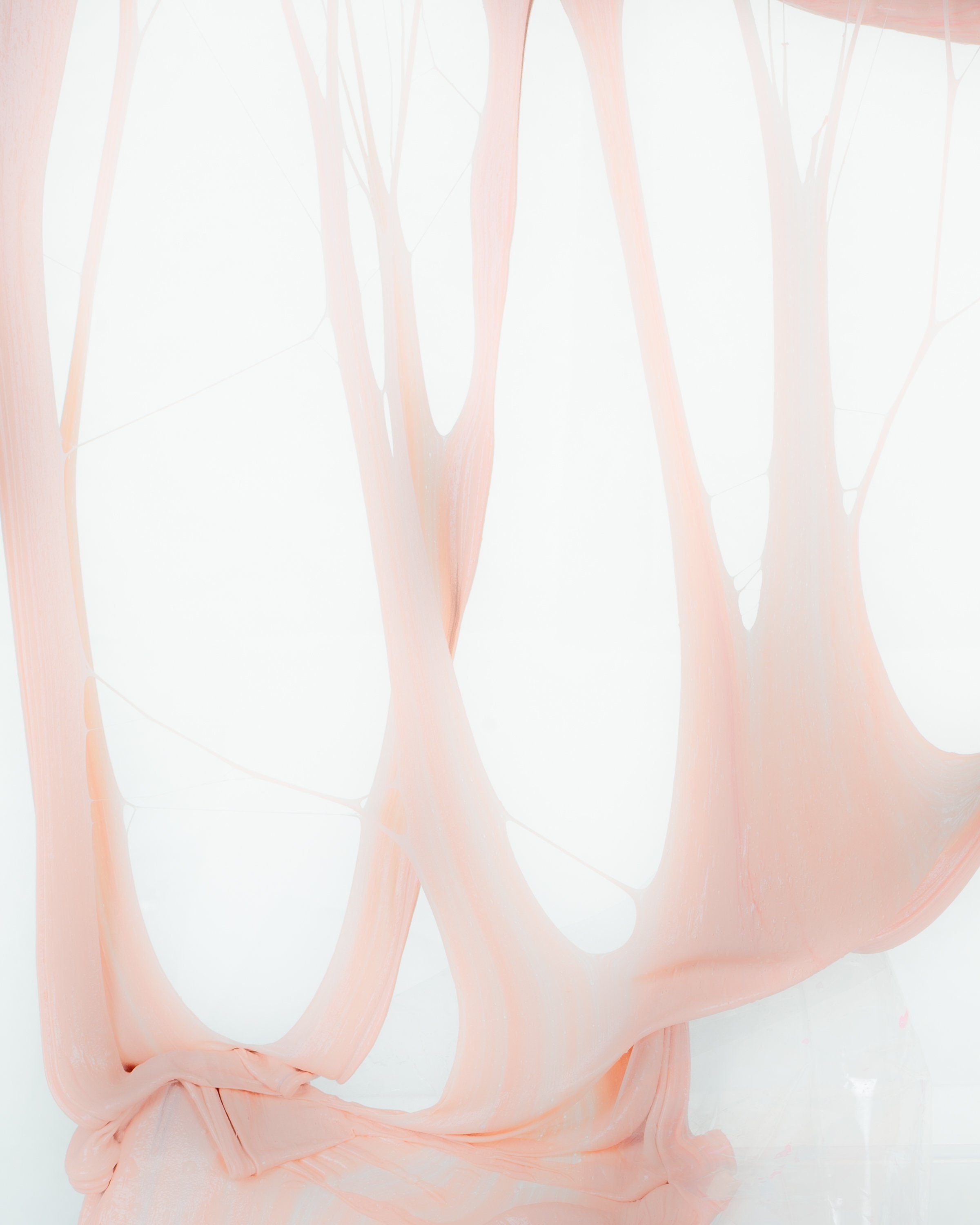 Soft Tissue #10 (2022)