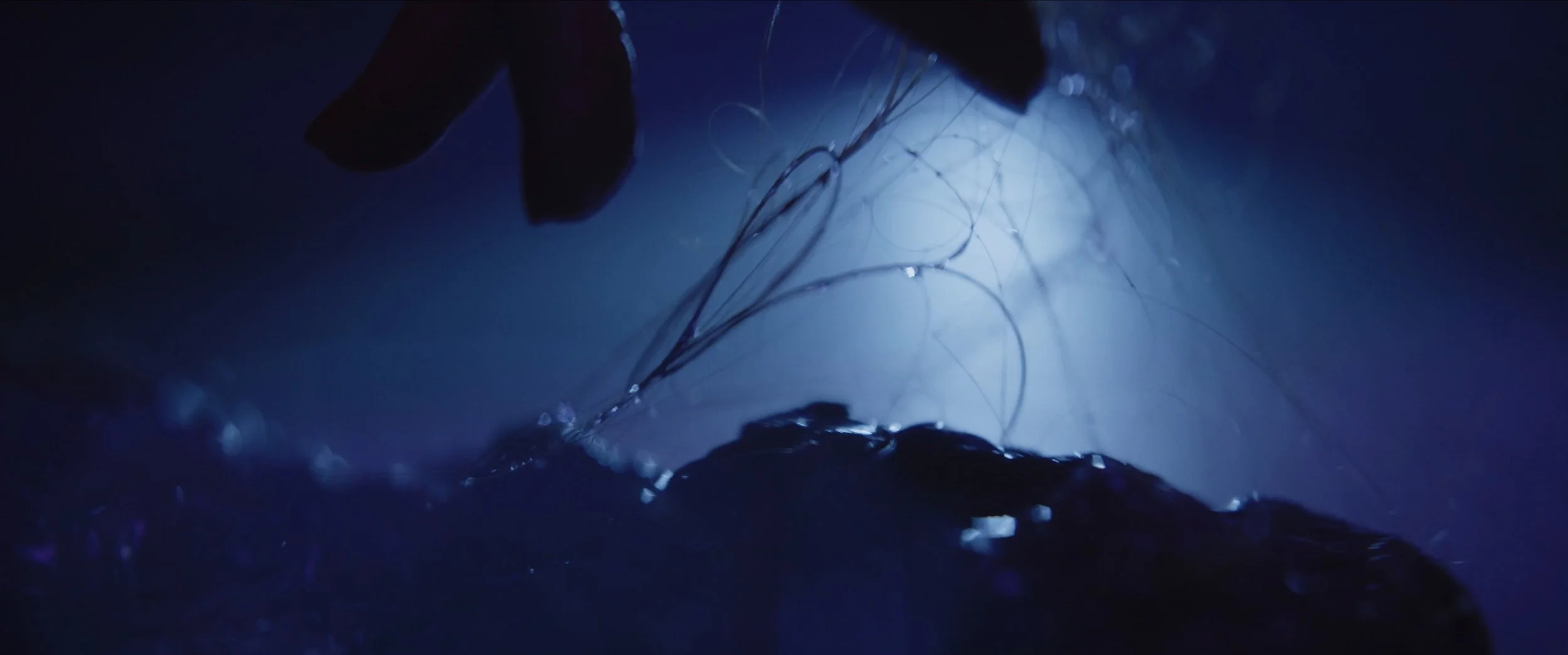 WIWK_STILLS_-38.jpg