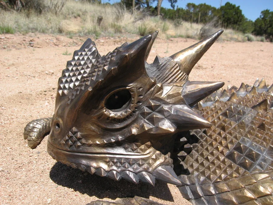 jfs arroyo Horned Toad face.jpg