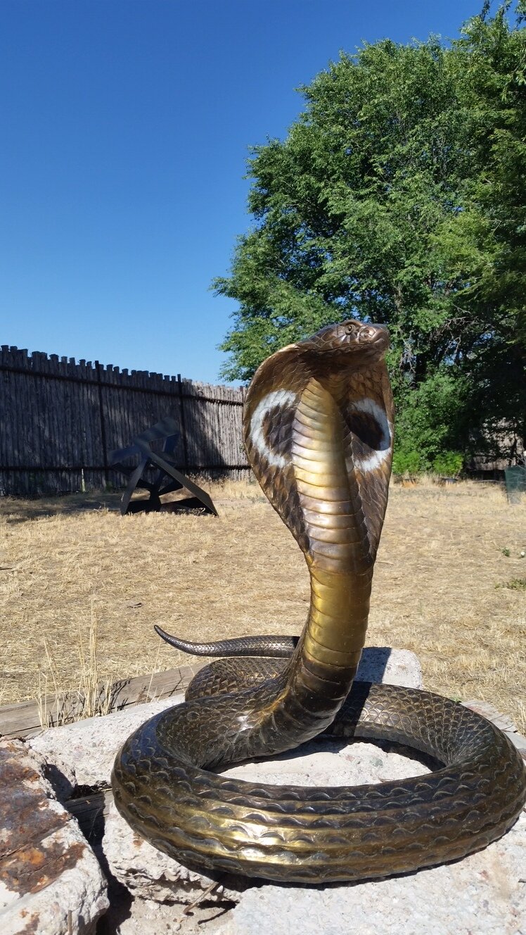 Bronze Cobra