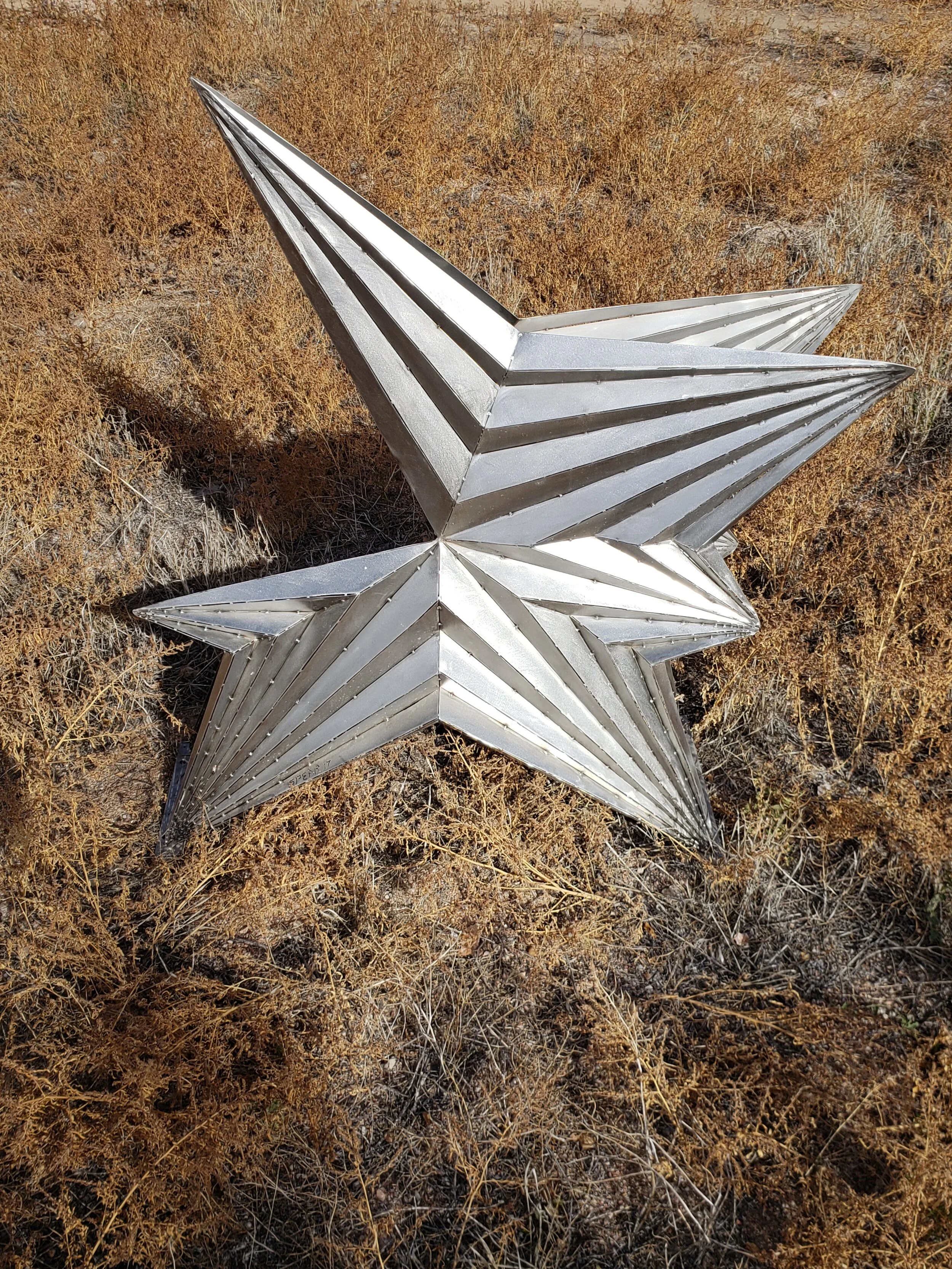 star seed 1.jpg
