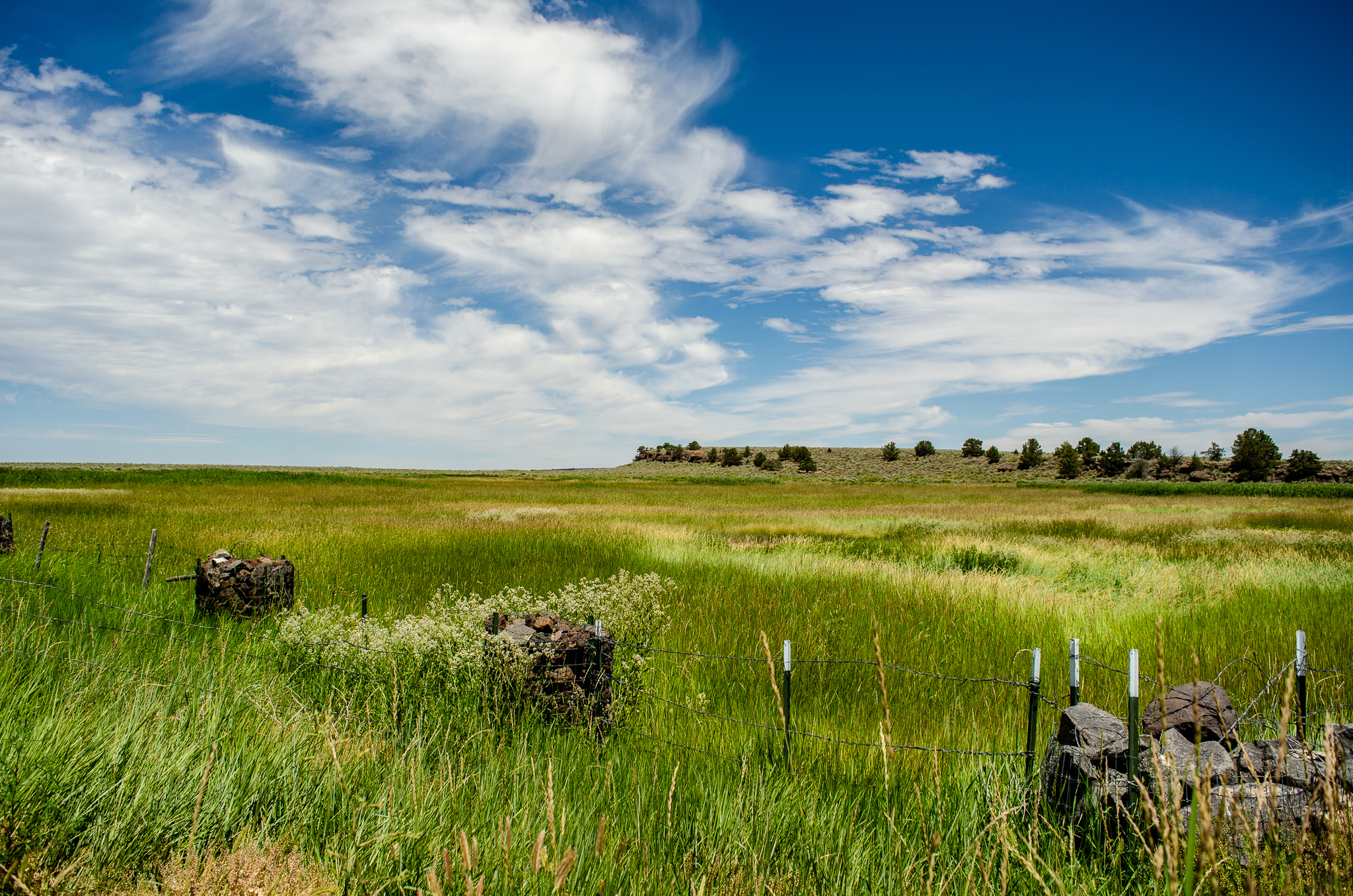 Harney County, Oregon