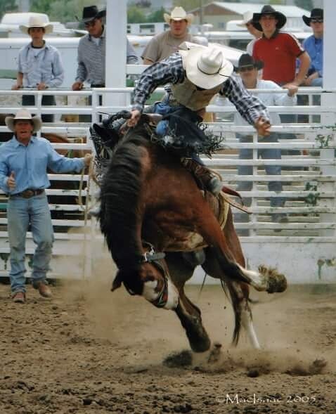 Tim Alden riding saddle bronc