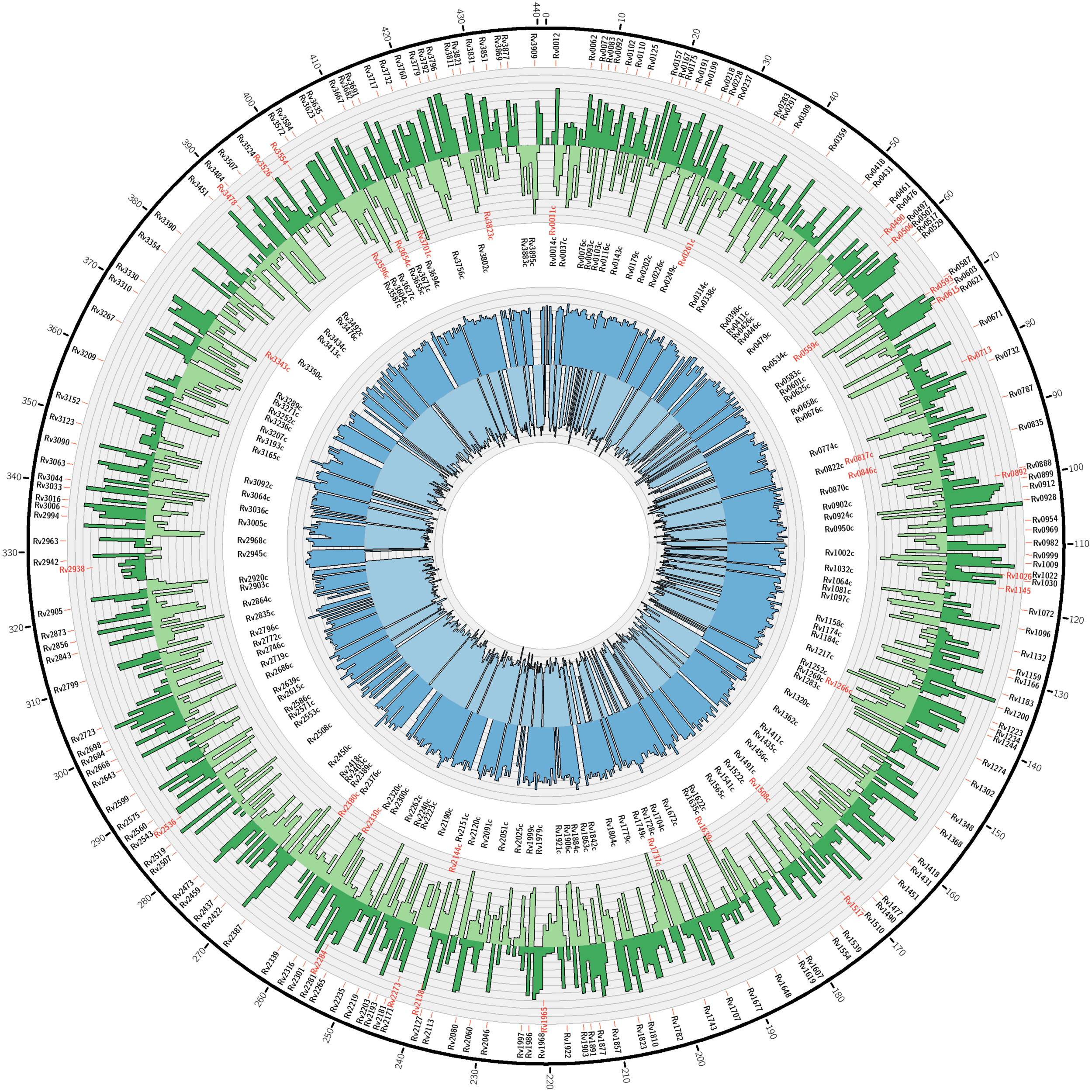 Discovery of Tuberculosis proteins expressed and exported only when in the host