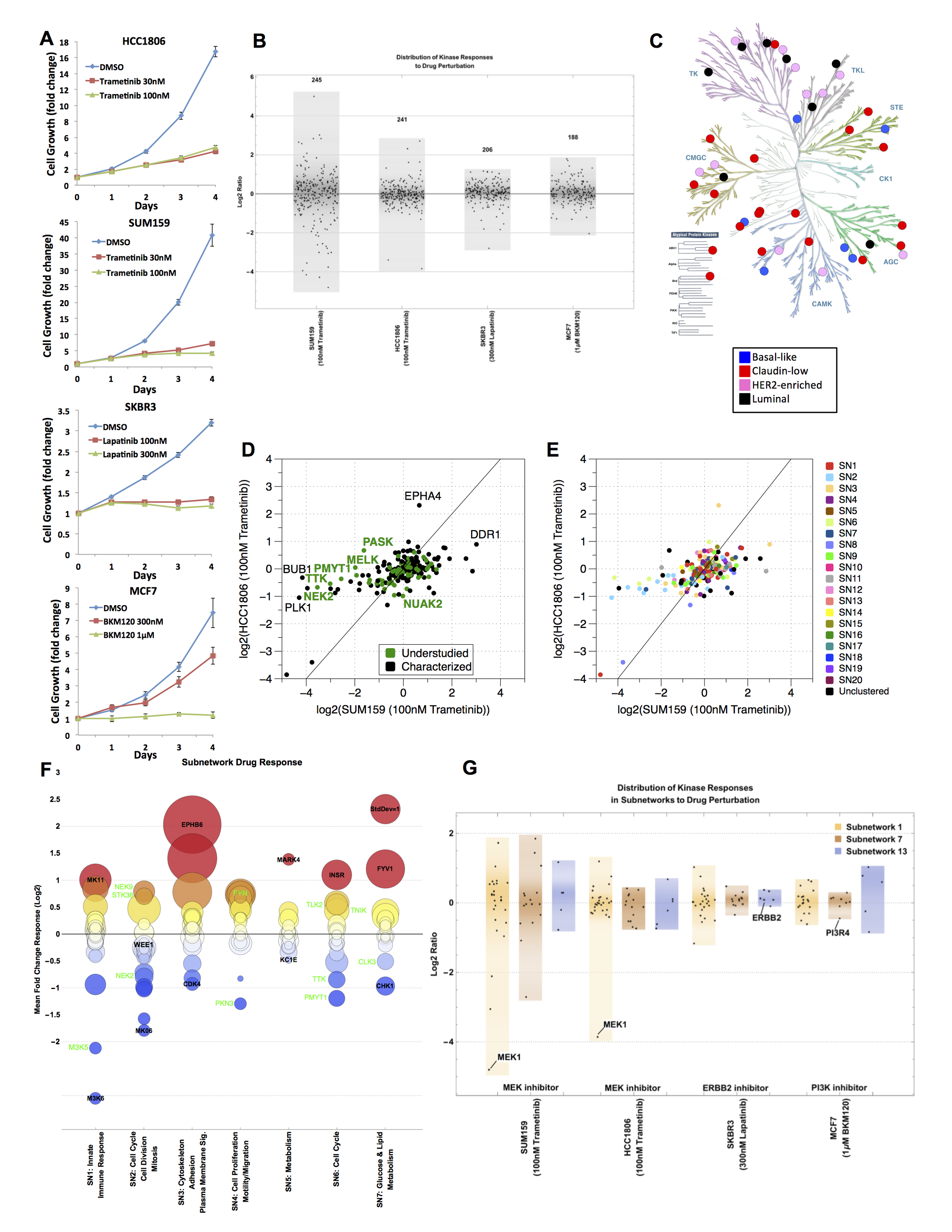 Kyla's paper was the cover of Oncotarget!