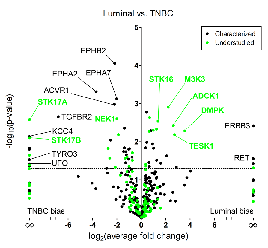 Proteomic  analysis  defines  kinase  taxonomies  specific  for  subtypes of breast cancer 