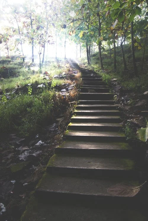 pic+dark+wooded+steps.jpg