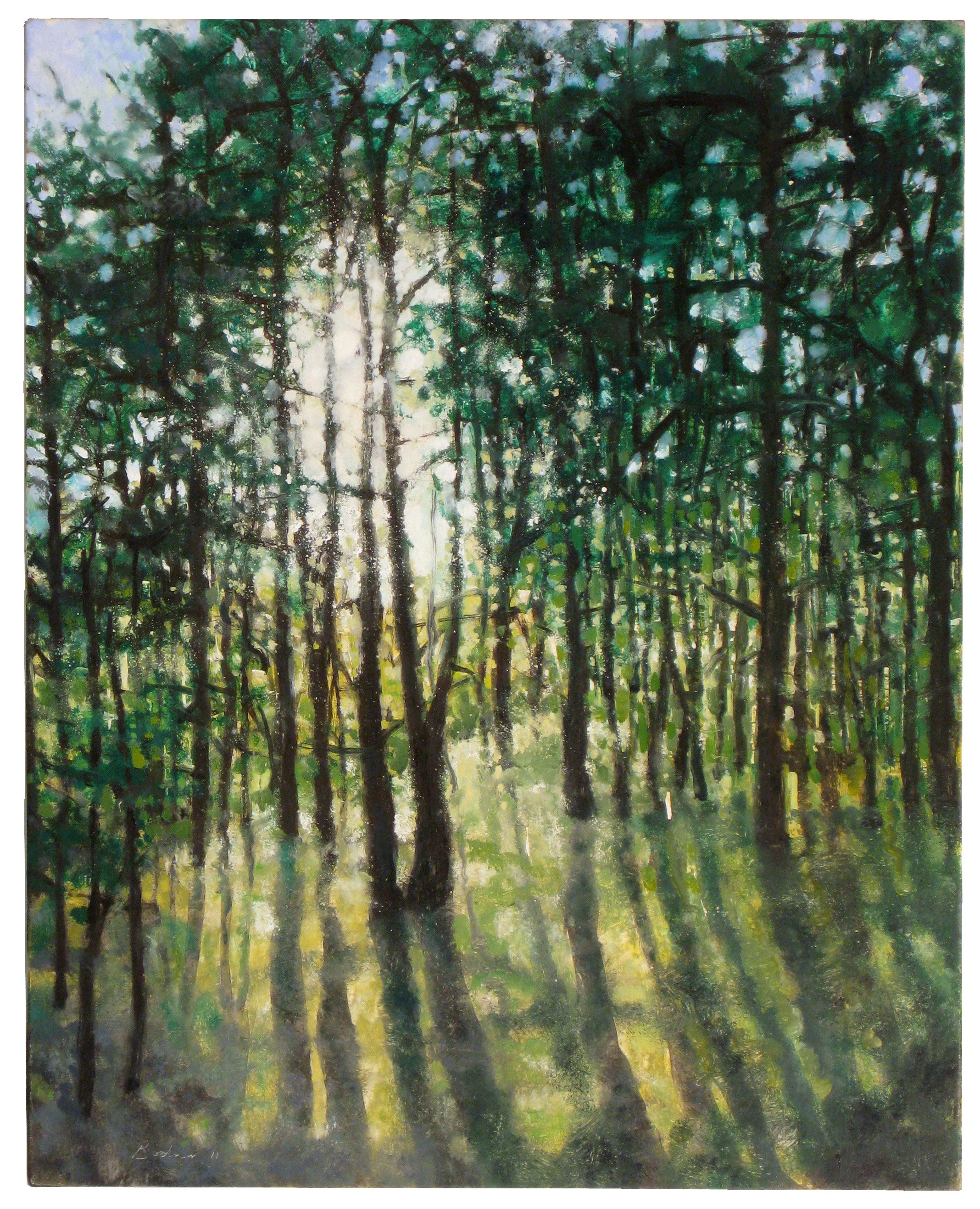 Truro Pines 25x20 inches (63x51cm) Oil on linen 2011