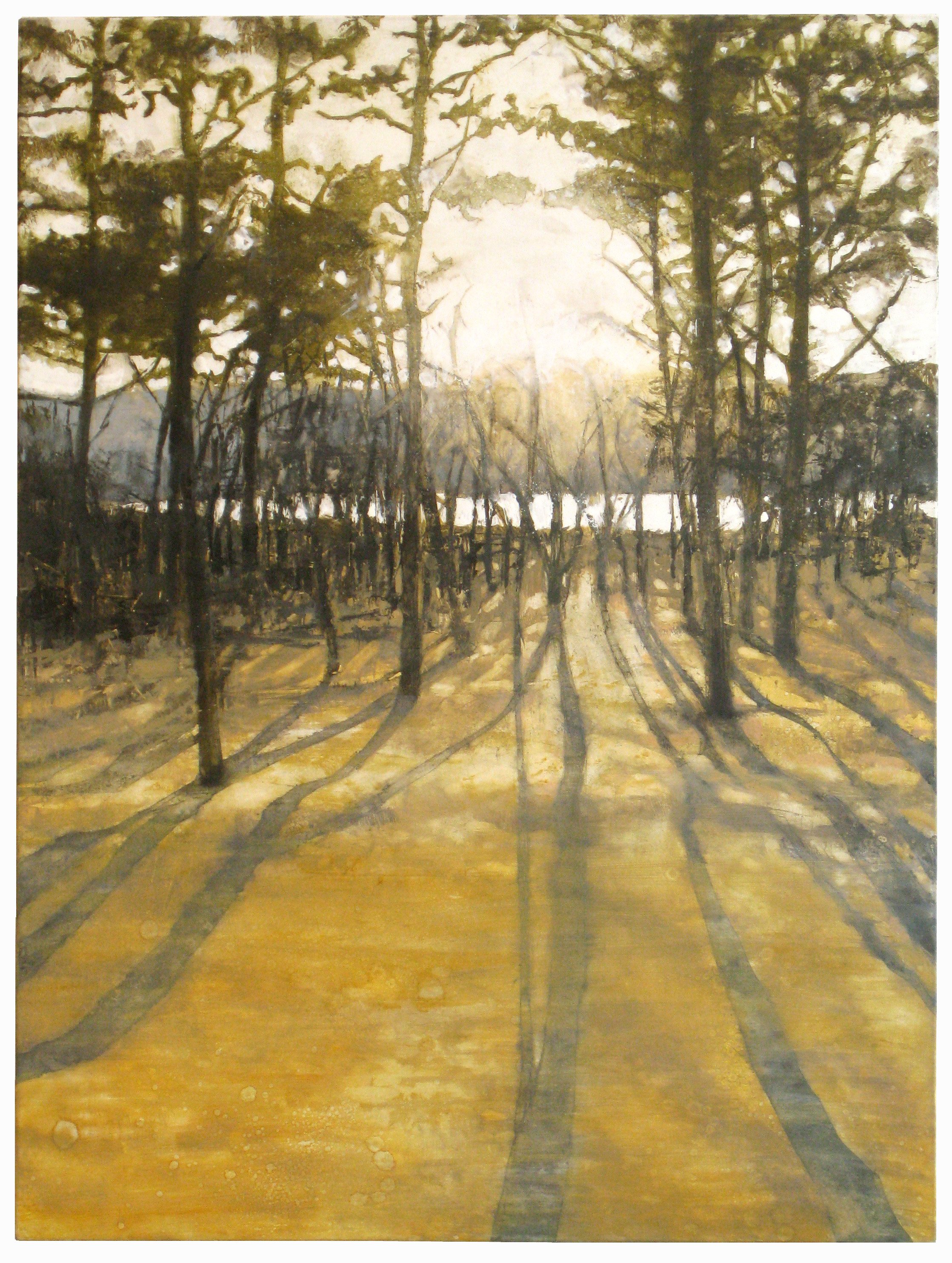  Beech Forest 3 40x30 inches (101x76cm) Oil on linen 2012 