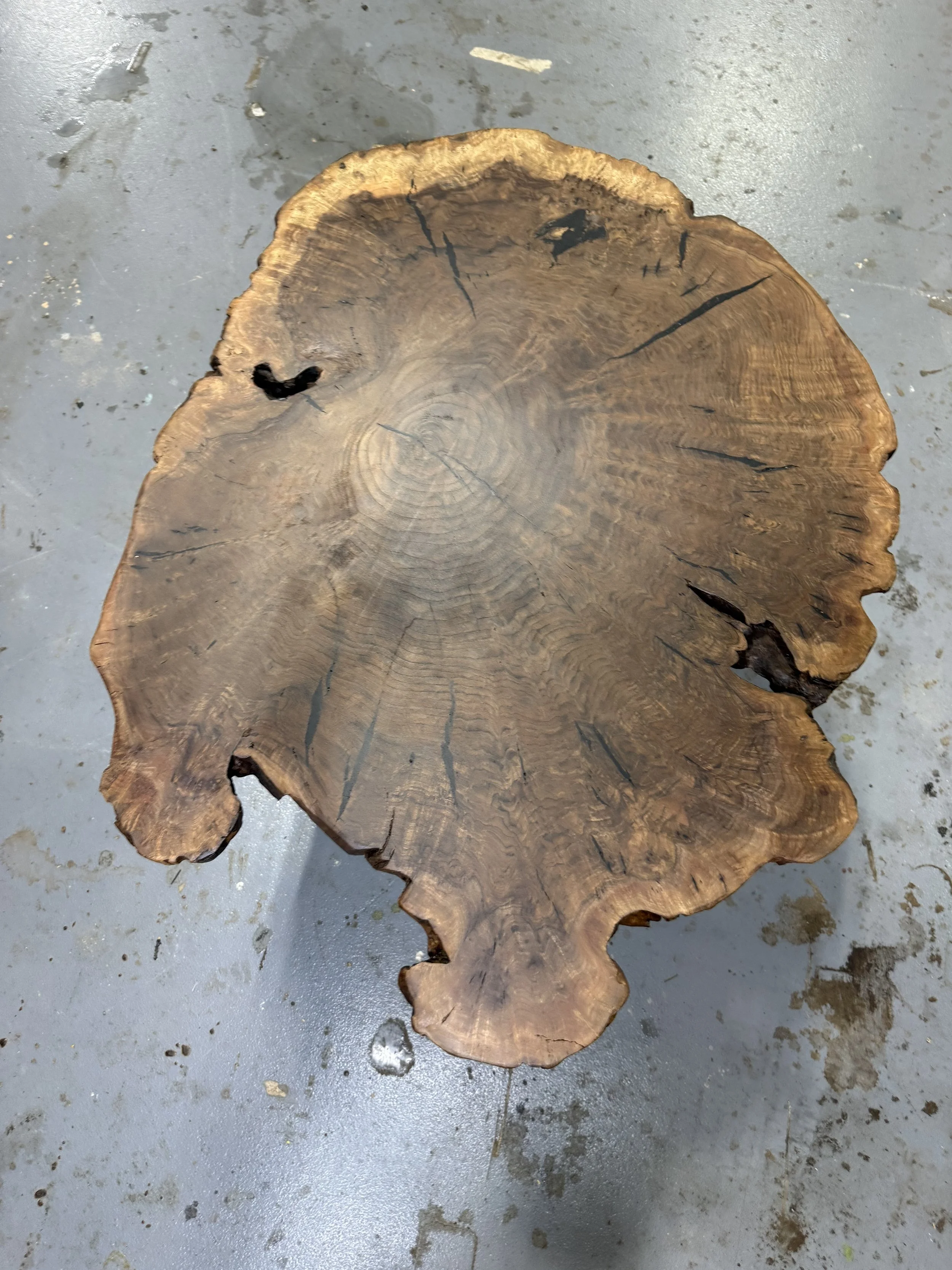 IMG_8299.jpeg