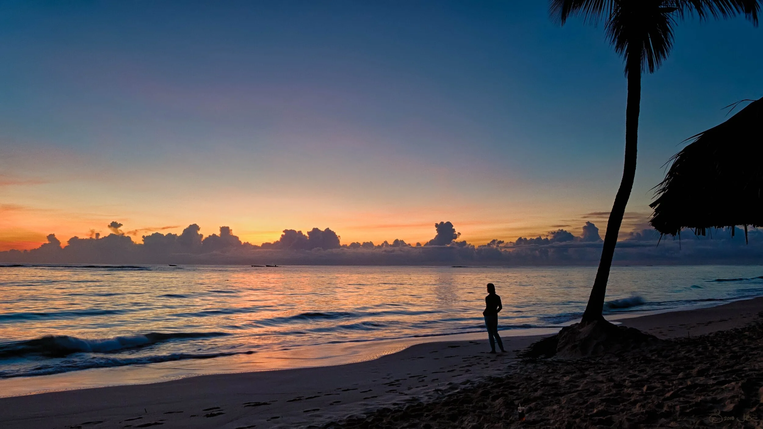 silhouette-of-a-person-near-coconut-tree-on-shore-during-149670.jpg