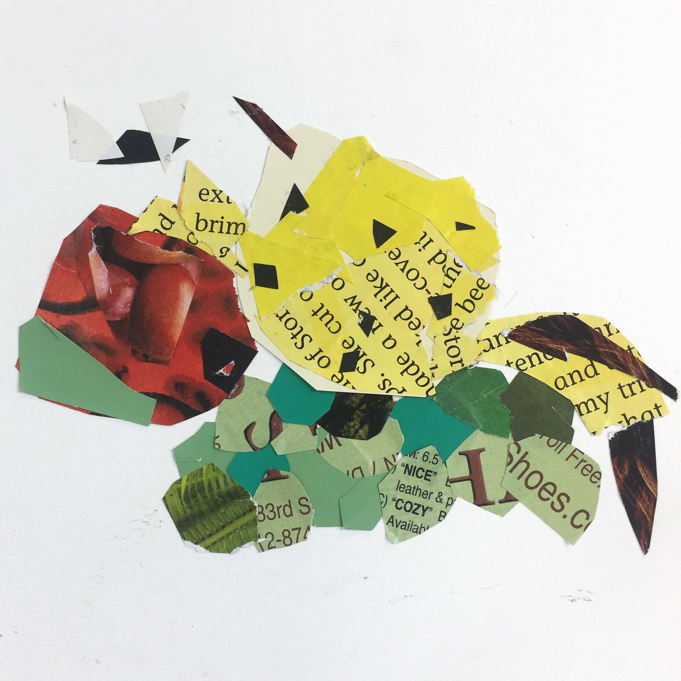  Collaged fruits from  magazine pages  