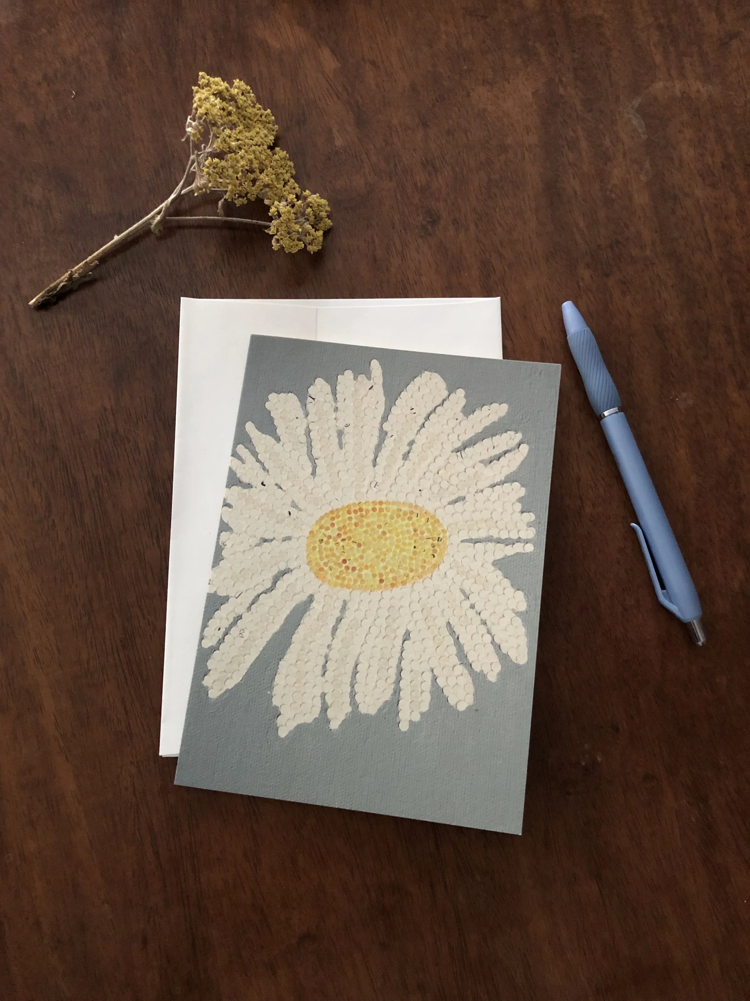 Daisy2.jpg