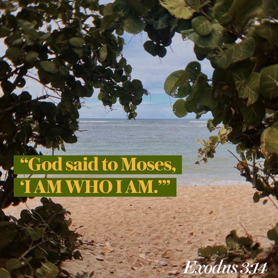 &ldquo;God said to Moses, &lsquo;I AM WHO I AM.&rsquo;&rdquo;
&mdash;Exodus 3:14