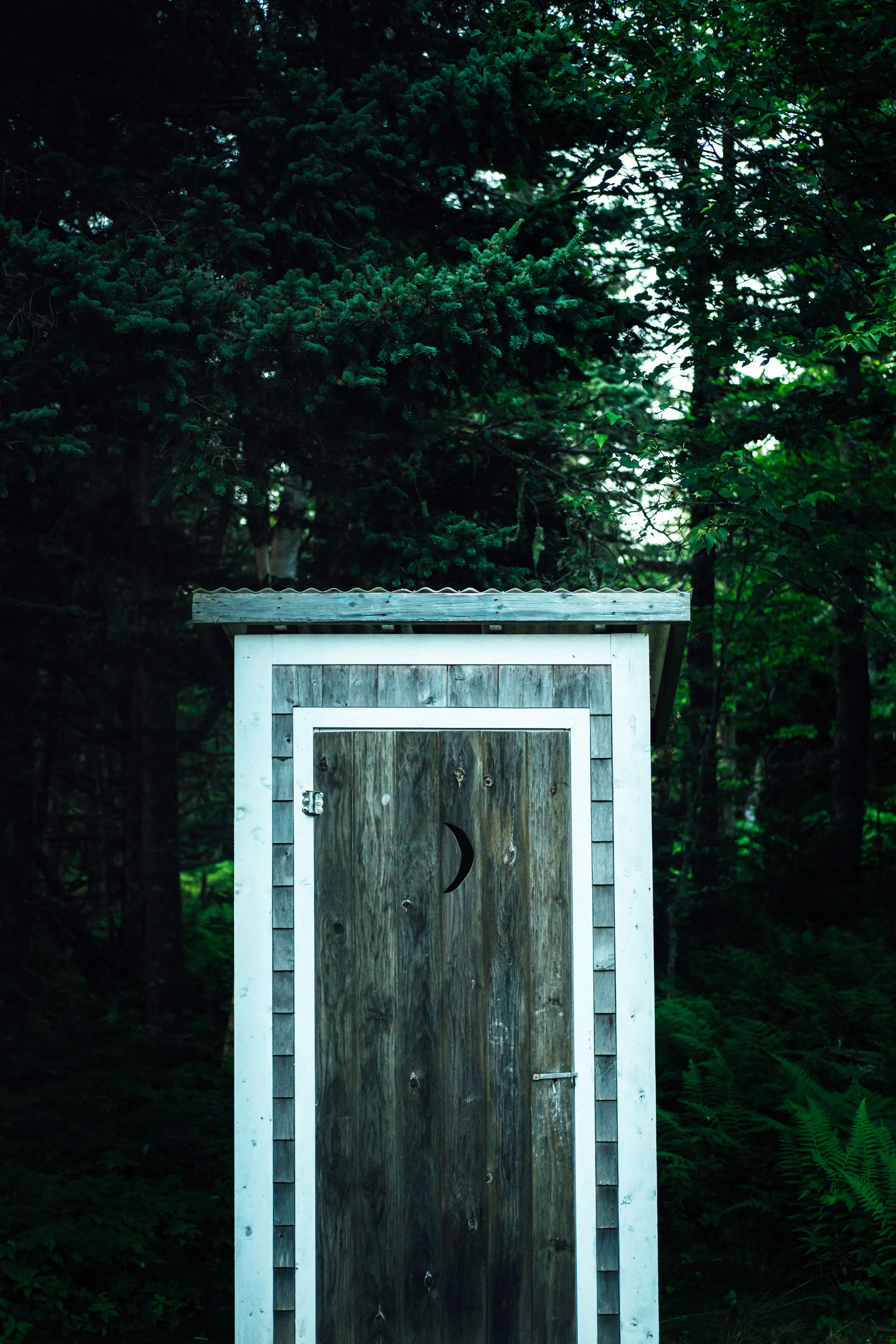 HOW TO POOP IN THE WOODS
