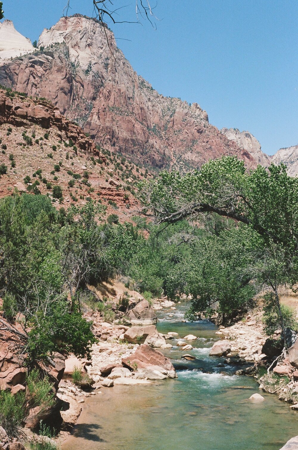  The Virgin River at Zion National Park - Photo by Erin Shaw 