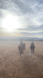  The horseback ride of a lifetime at Zion Wright Family Ranch led by cowboy-patriarch, Bill Wright 