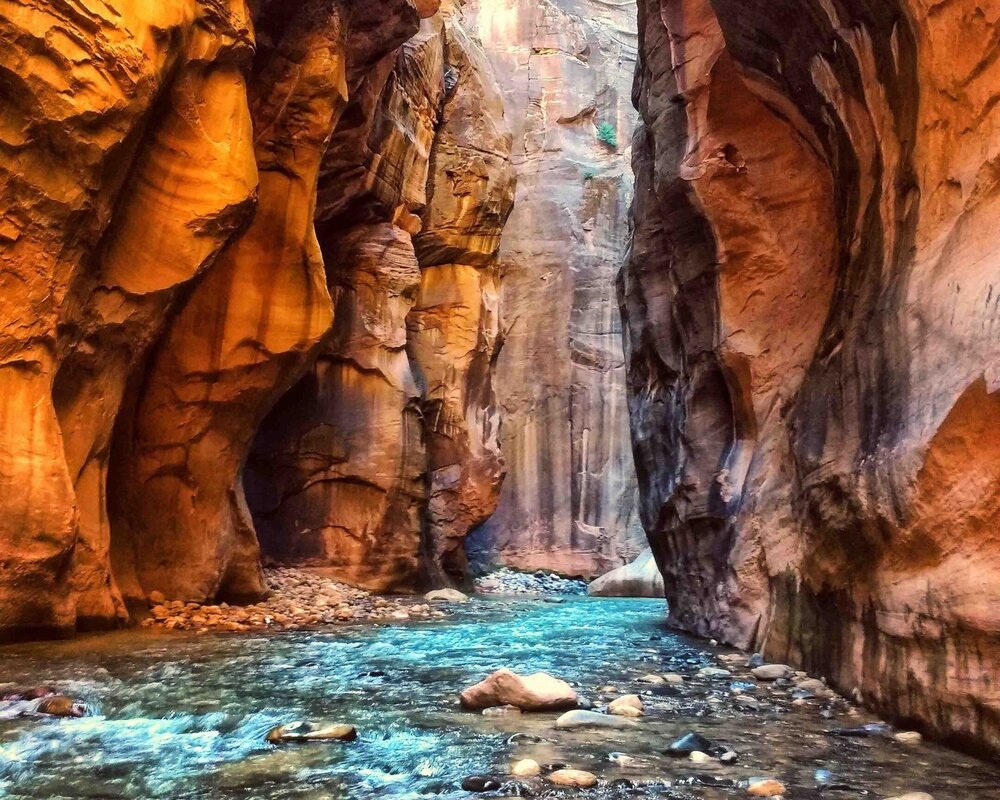  Zion Narrows River Hike - Photo from AllTrails.com 