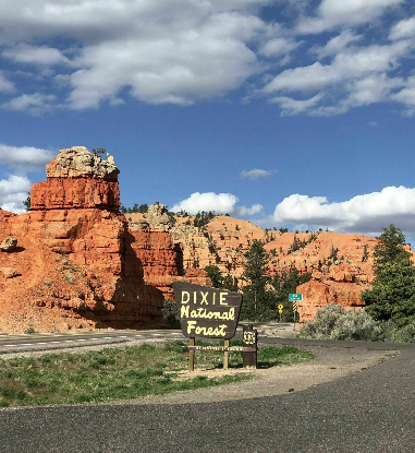  Entrance to Dixie National Forest - Photo from AllTrails.com 
