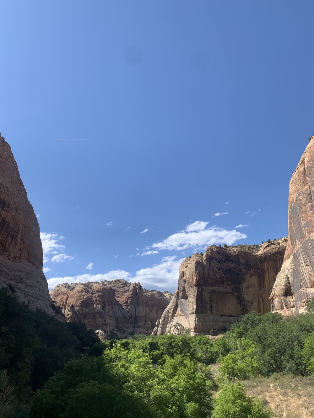  Hike to Lower Calf Creek Falls 