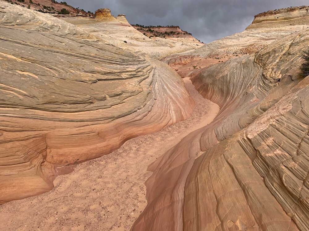  Bighorn Canyon Trail - Photo from AllTrails.com 