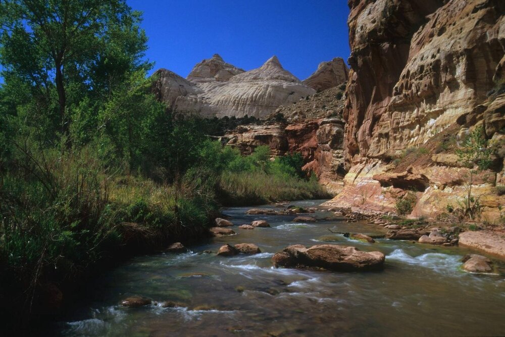  Capitol Reef National Park and the Fremont River - Photo from AllTrails.com 