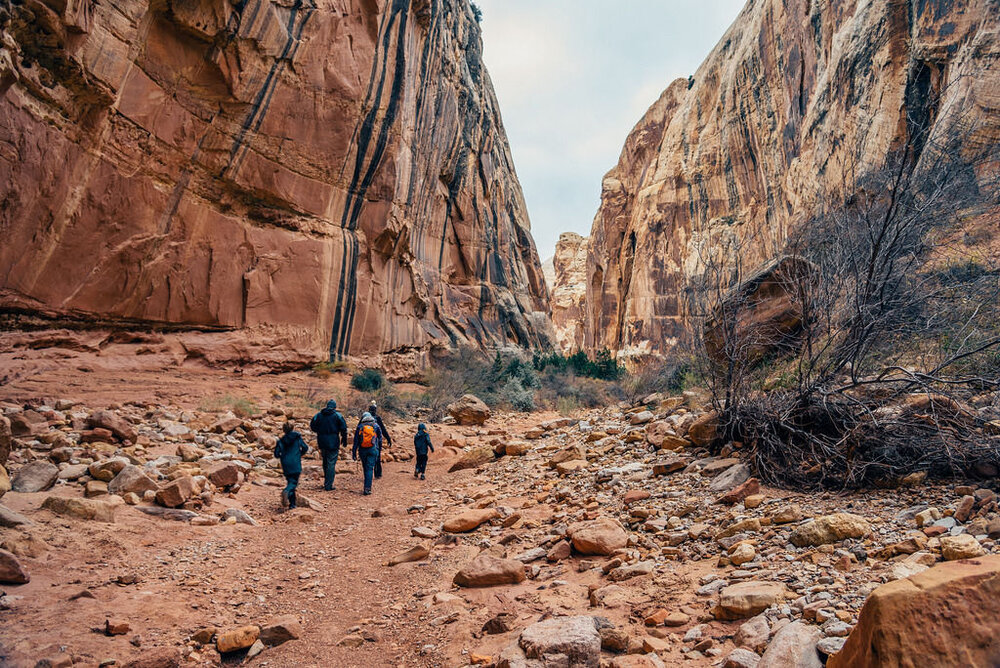  Grand Wash Trail - Photo from AllTrails.com 