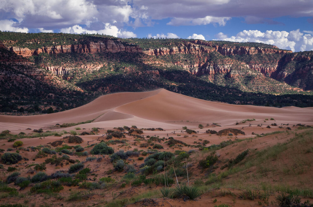  Coral Sand Dunes - Photo from AllTrails.com 