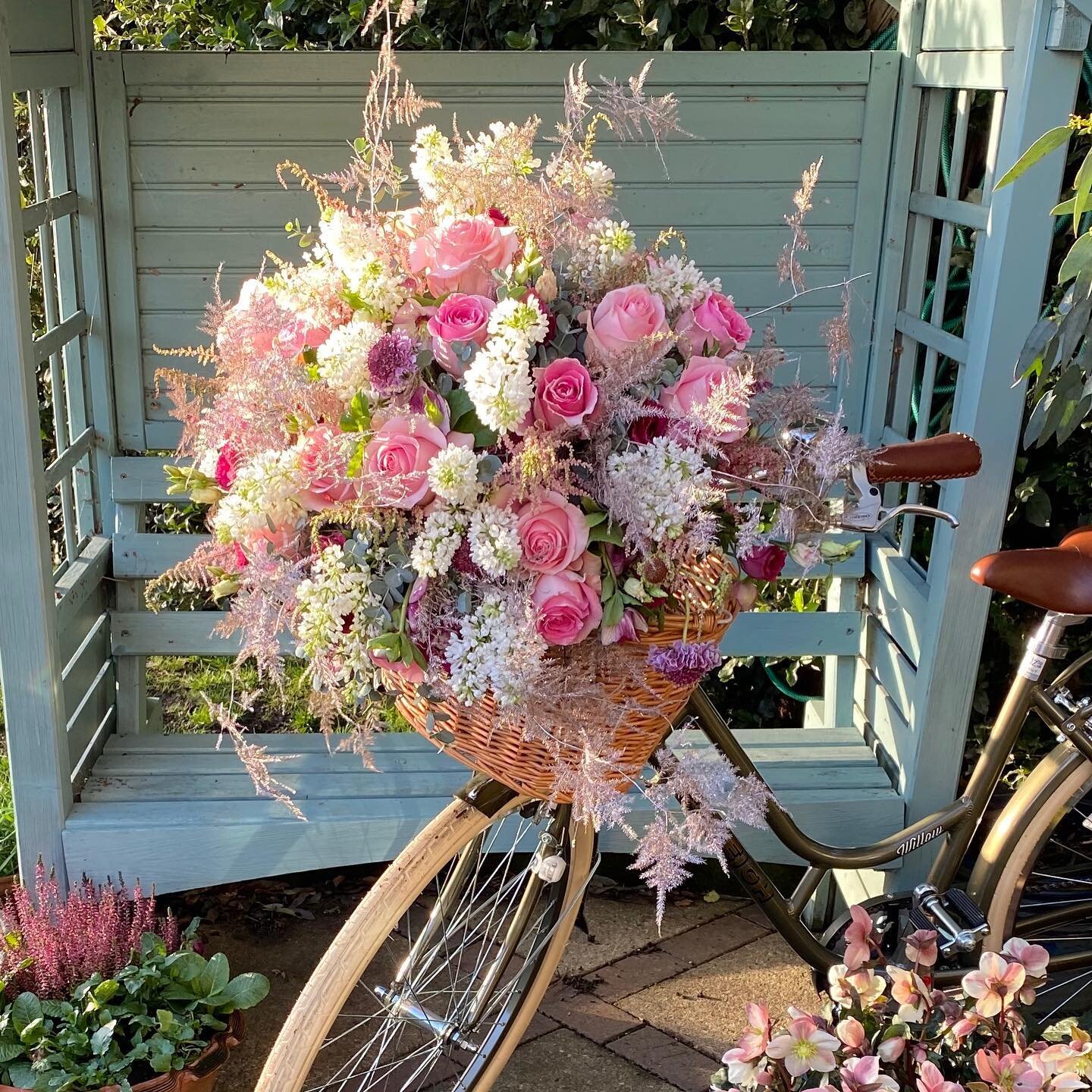 &ldquo;A bouquet of happiness delivered to your door&rdquo;

#roses #bouquets #bouquetoftheday #bouquet #love #flowers #flowersoflove #weddinginspiration #weddingflowers #bedfordshireweddingsuppliers #florist #ampthill #raleighbikes #beautiful #lilac