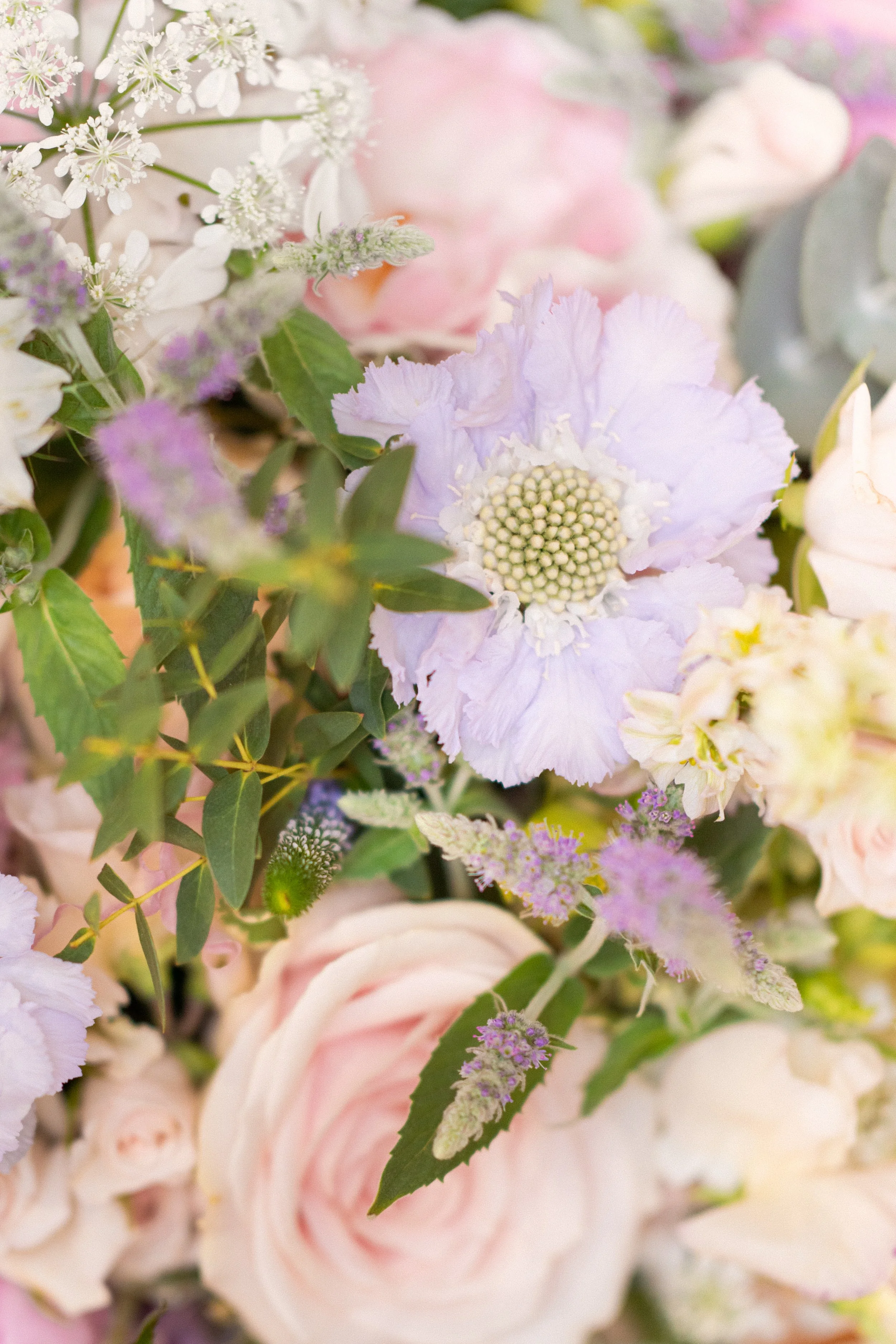 Fiona and Morgan   (40).jpg