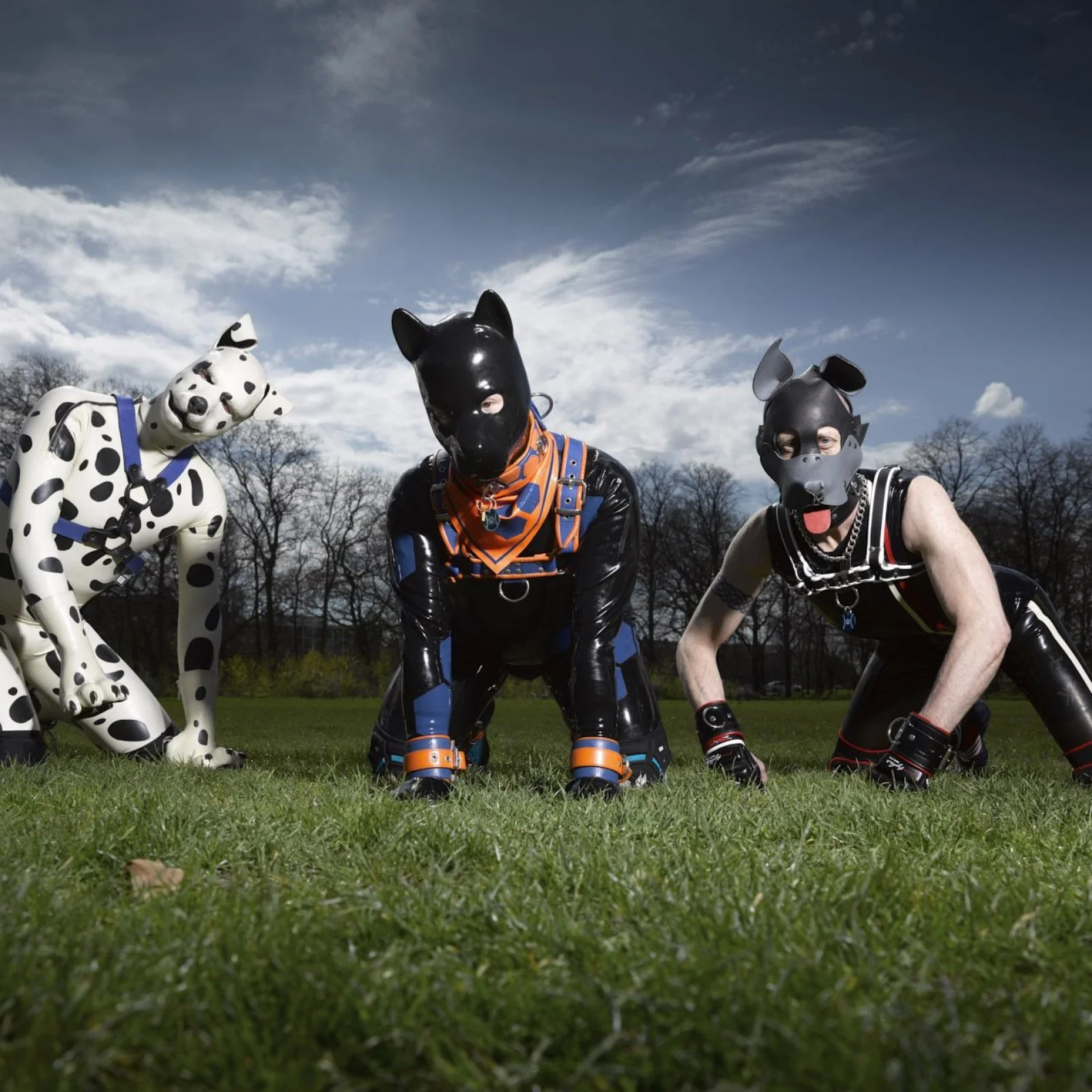 puppies.jpg