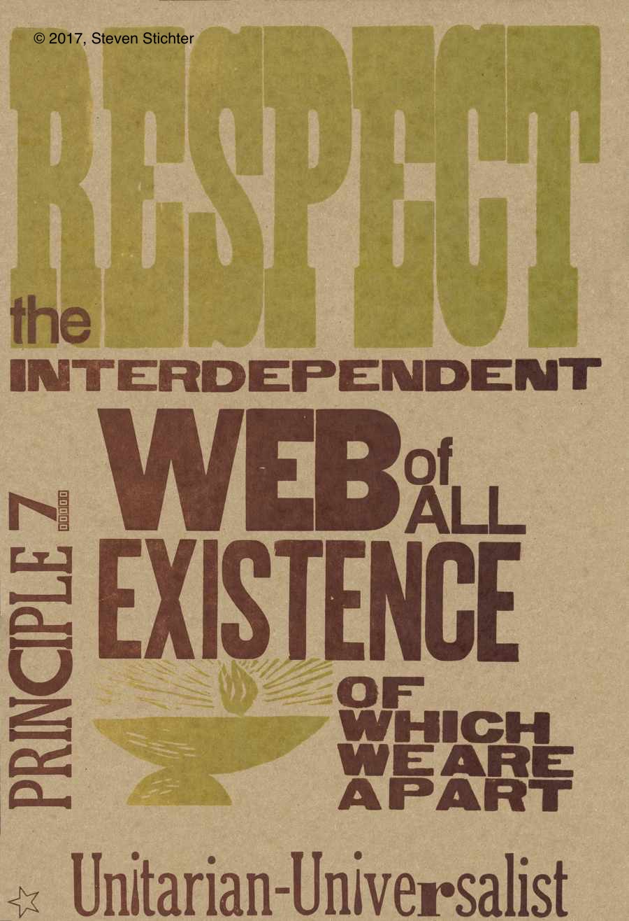 7: Interdependent web of all existence