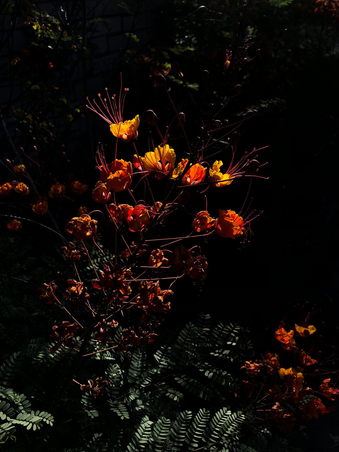 KateGardinerPhotography-5-2.jpg