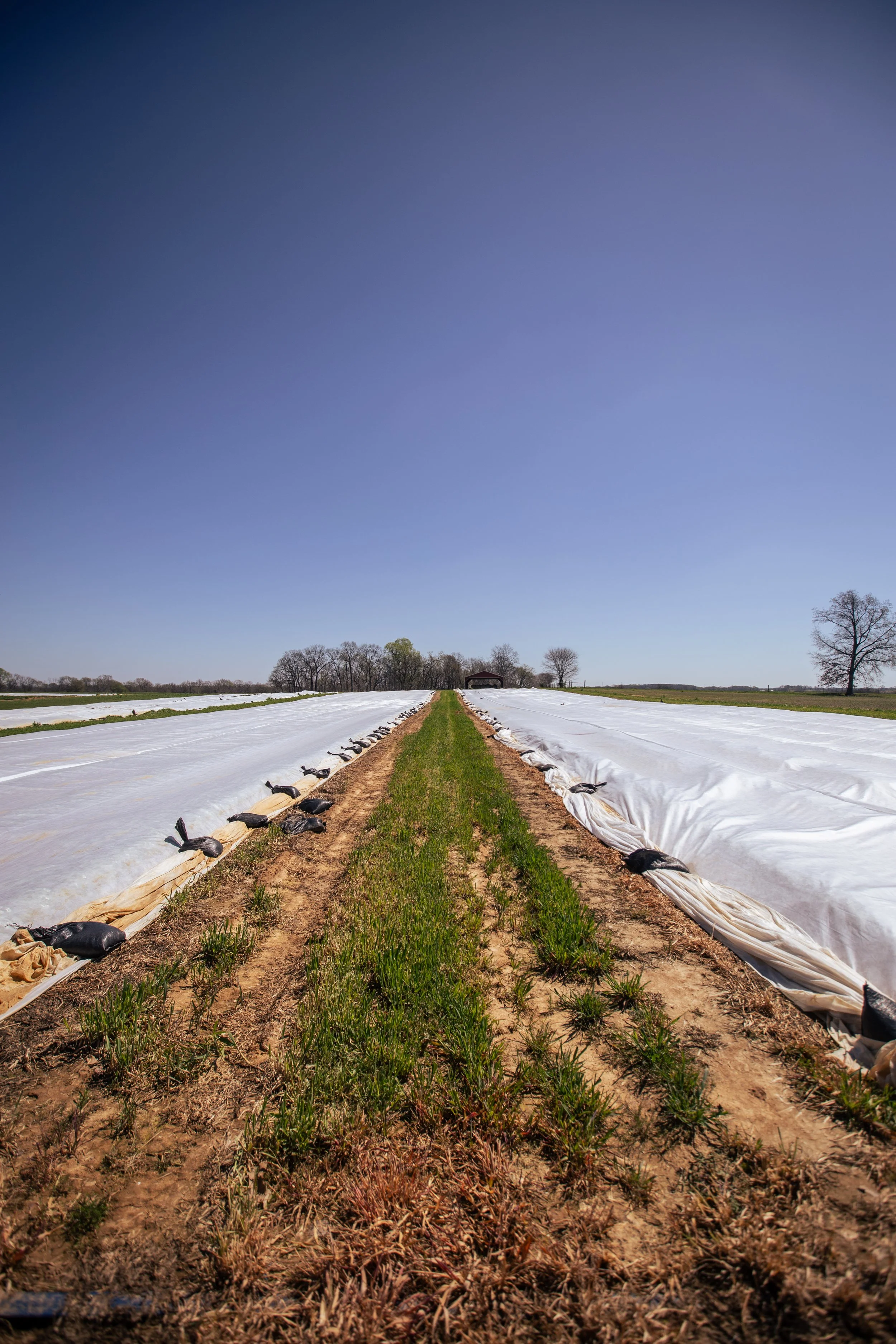 UrbanHillPhoto-HeadsFarm-79.jpg