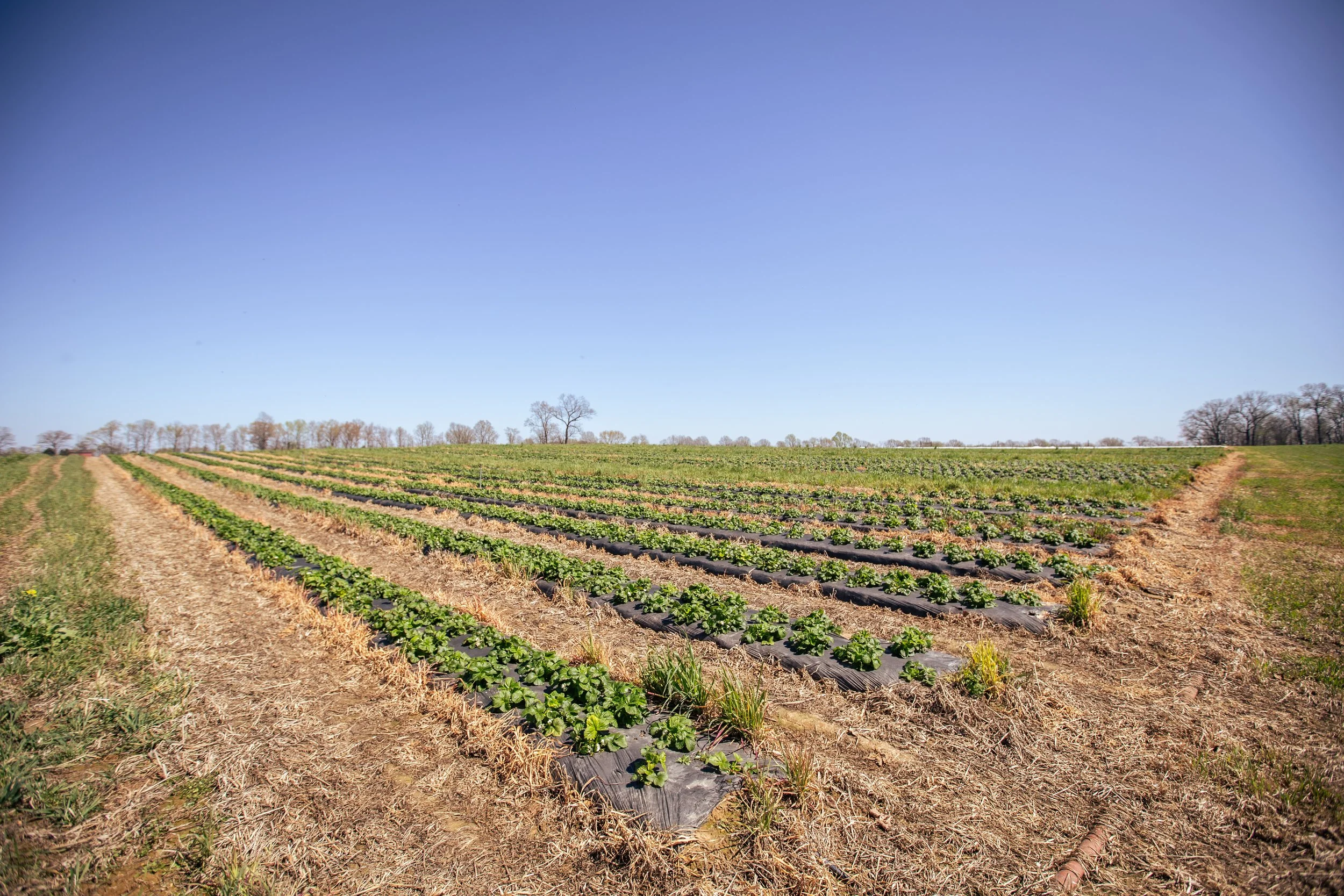 UrbanHillPhoto-HeadsFarm-84.jpg