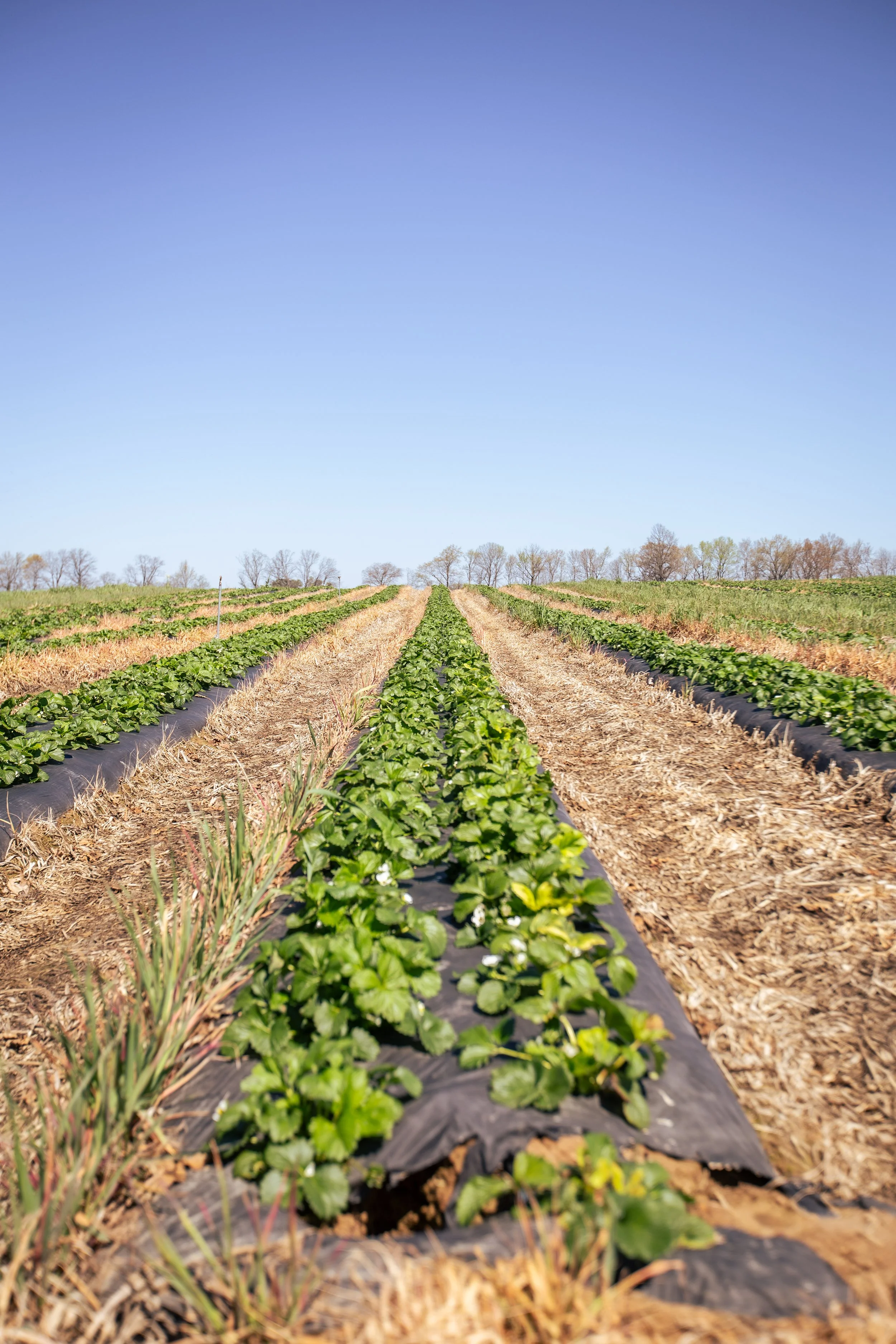 UrbanHillPhoto-HeadsFarm-81.jpg