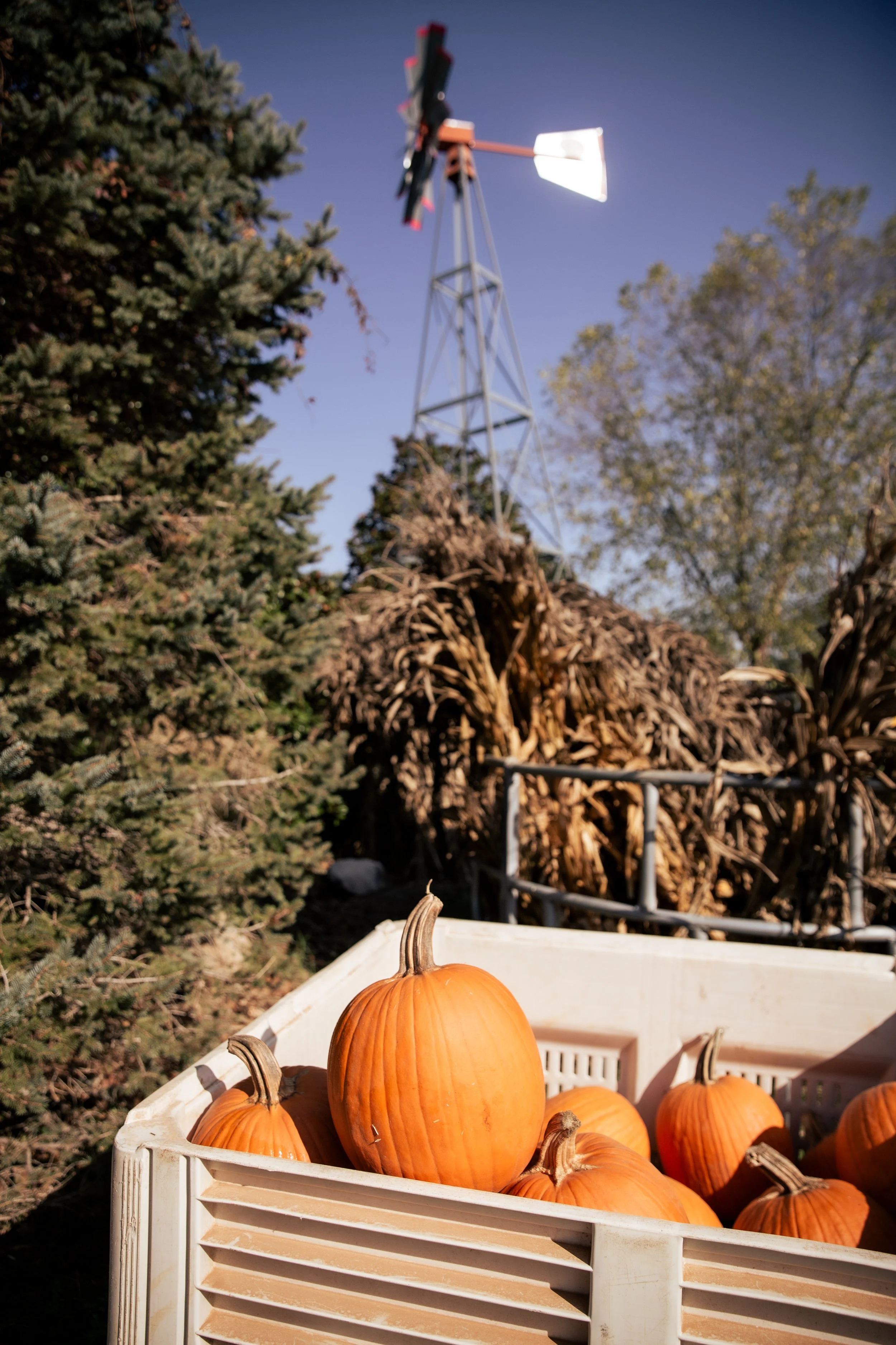 UrbanHillPhoto-ROBCO-59.jpg
