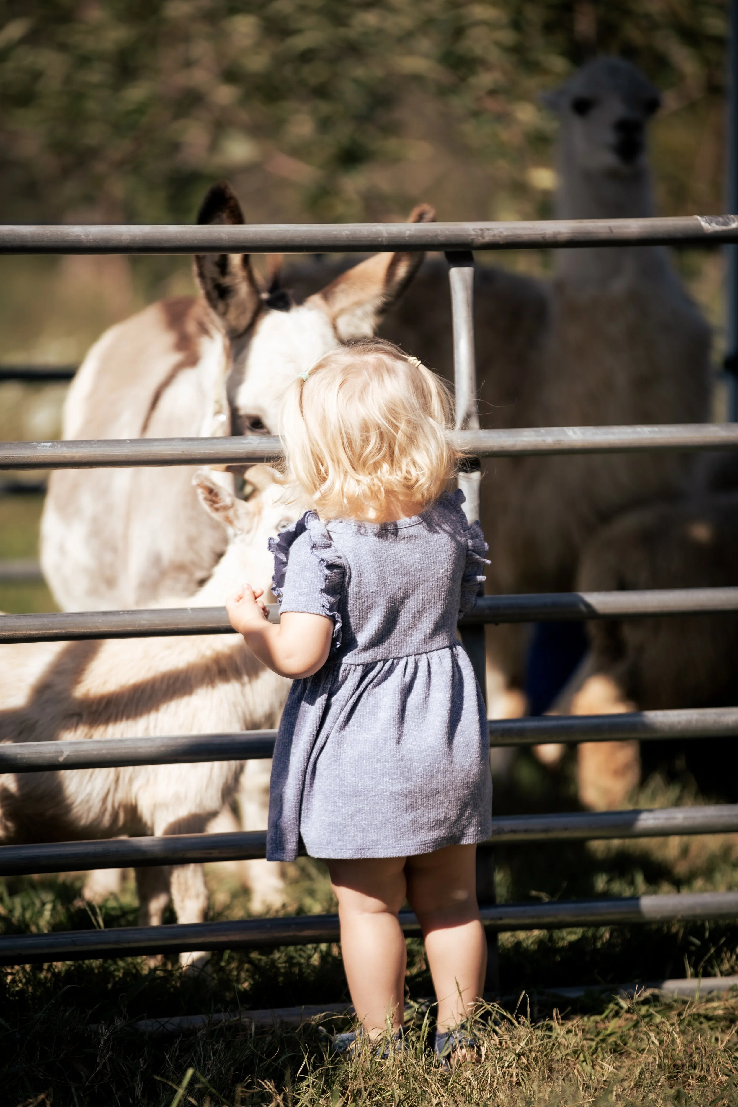 UrbanHillPhoto-ROBCO-115.jpg