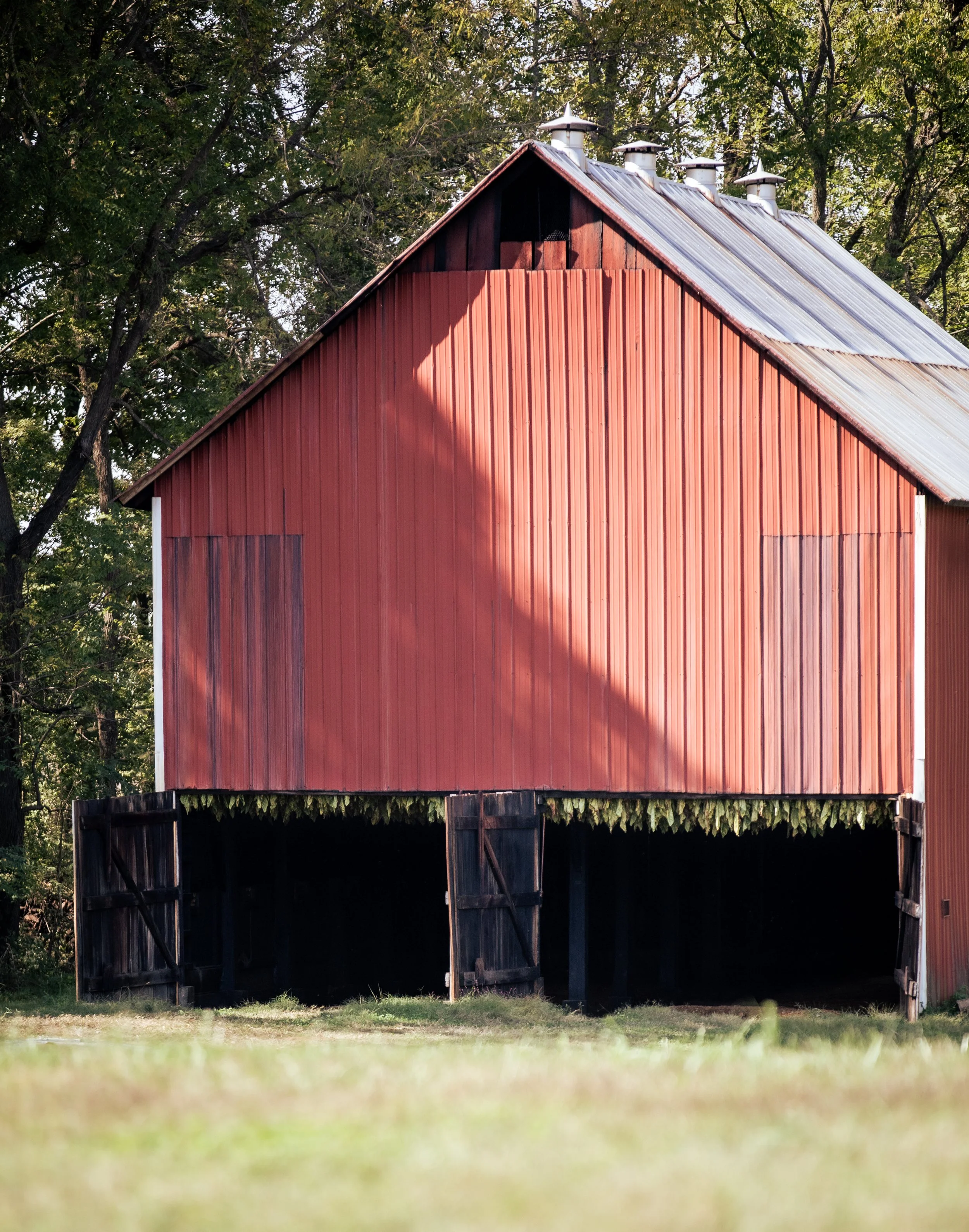 UrbanHillPhoto-ROBCO-149.jpg