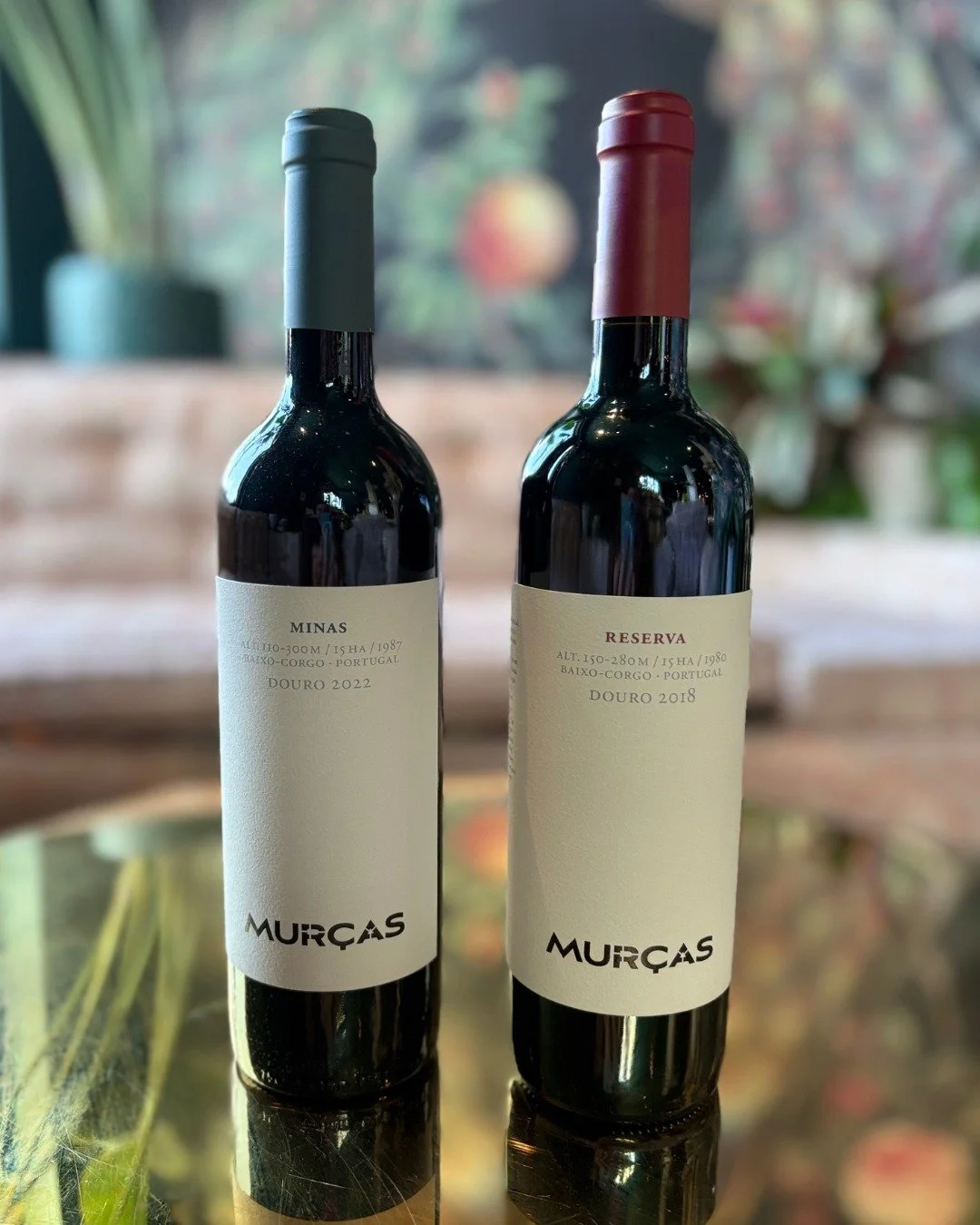 🔵 This Week in the Tasting Room, meet Lucille's favorite alternative to Cabernet 

🍷 We're talking about the Touriga Nacional based red wines of Portugal's Douro Valley. The oldest demarated wine region in the world, the Douro is also home to Oport